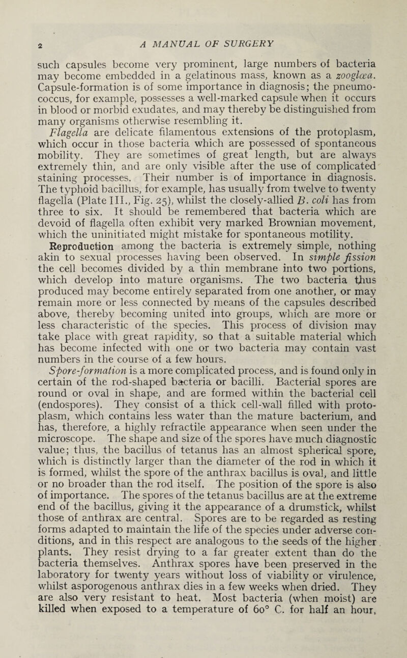 such capsules become very prominent, large numbers of bacteria may become embedded in a gelatinous mass, known as a zooglcea. Capsule-formation is of some importance in diagnosis; the pneumo¬ coccus, for example, possesses a well-marked capsule when it occurs in blood or morbid exudates, and may thereby be distinguished from many organisms otherwise resembling it. Flagella are delicate filamentous extensions of the protoplasm, which occur in those bacteria which are possessed of spontaneous mobility. They are sometimes of great length, but are always extremely thin, and are only visible after the use of complicated staining processes. Their number is of importance in diagnosis. The typhoid bacillus, for example, has usually from twelve to twenty flagella (Plate III., Fig. 25), whilst the closely-allied B. coli has from three to six. It should be remembered that bacteria which are devoid of flagella often exhibit very marked Brownian movement, which the uninitiated might mistake for spontaneous motility. Reproduction among the bacteria is extremely simple, nothing akin to sexual processes having been observed. In simple fission the cell becomes divided by a thin membrane into two portions, which develop into mature organisms. The two bacteria thus produced may become entirely separated from one another, or may remain more or less connected by means of the capsules described above, thereby becoming united into groups, which are more or less characteristic of the species. This process of division may take place with great rapidity, so that a suitable material which has become infected with one or two bacteria may contain vast numbers in the course of a few hours. Spore-formation is a more complicated process, and is found only in certain of the rod-shaped bacteria or bacilli. Bacterial spores are round or oval in shape, and are formed within the bacterial cell (endospores). They consist of a thick cell-wall filled with proto¬ plasm, which contains less water than the mature bacterium, and has, therefore, a highly refractile appearance when seen under the microscope. The shape and size of the spores have much diagnostic value; thus, the bacillus of tetanus has an almost spherical spore, which is distinctly larger than the diameter of the rod in which it is formed, whilst the spore of the anthrax bacillus is oval, and little or no broader than the rod itself. The position of the spore is also of importance. The spores of the tetanus bacillus are at the extreme end of the bacillus, giving it the appearance of a drumstick, whilst those of anthrax are central. Spores are to be regarded as resting forms adapted to maintain the life of the species under adverse con¬ ditions, and in this respect are analogous to the seeds of the higher plants. They resist drying to a far greater extent than do the bacteria themselves. Anthrax spores have been preserved in the laboratory for twenty years without loss of viability or virulence, whilst asporogenous anthrax dies in a few weeks when dried. They are also very resistant to heat. Most bacteria (when moist) are killed when exposed to a temperature of 6o° C. for half an hour,
