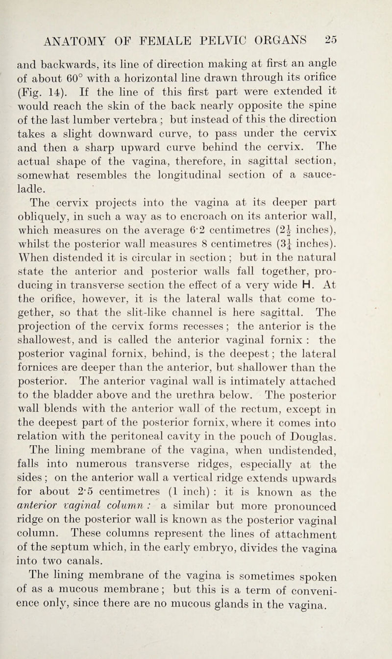 and backwards, its line of direction making at first an angle of about 60° with a horizontal line drawn through its orifice (Fig. 14). If the line of this first part were extended it would reach the skin of the back nearly opposite the spine of the last lumber vertebra ; but instead of this the direction takes a slight downward curve, to pass under the cervix and then a sharp upward curve behind the cervix. The actual shape of the vagina, therefore, in sagittal section, somewhat resembles the longitudinal section of a sauce- ladle. The cervix projects into the vagina at its deeper part obliquely, in such a way as to encroach on its anterior wall, which measures on the average 6*2 centimetres (2| inches), whilst the posterior wall measures 8 centimetres (3| inches). When distended it is circular in section; but in the natural state the anterior and posterior walls fall together, pro¬ ducing in transverse section the effect of a very wide H. At the orifice, however, it is the lateral walls that come to¬ gether, so that the slit-like channel is here sagittal. The projection of the cervix forms recesses; the anterior is the shallowest, and is called the anterior vaginal fornix : the posterior vaginal fornix, behind, is the deepest; the lateral fornices are deeper than the anterior, but shallower than the posterior. The anterior vaginal wall is intimately attached to the bladder above and the urethra below. The posterior wall blends with the anterior wall of the rectum, except in the deepest part of the posterior fornix, where it comes into relation with the peritoneal cavity in the pouch of Douglas. The lining membrane of the vagina, when undistended, falls into numerous transverse ridges, especially at the sides; on the anterior wall a vertical ridge extends upwards for about 2*5 centimetres (1 inch) : it is known as the anterior vaginal column : a similar but more pronounced ridge on the posterior wall is known as the posterior vaginal column. These columns represent the lines of attachment of the septum which, in the early embryo, divides the vagina into two canals. The lining membrane of the vagina is sometimes spoken of as a mucous membrane; but this is a term of conveni¬ ence only, since there are no mucous glands in the vagina.