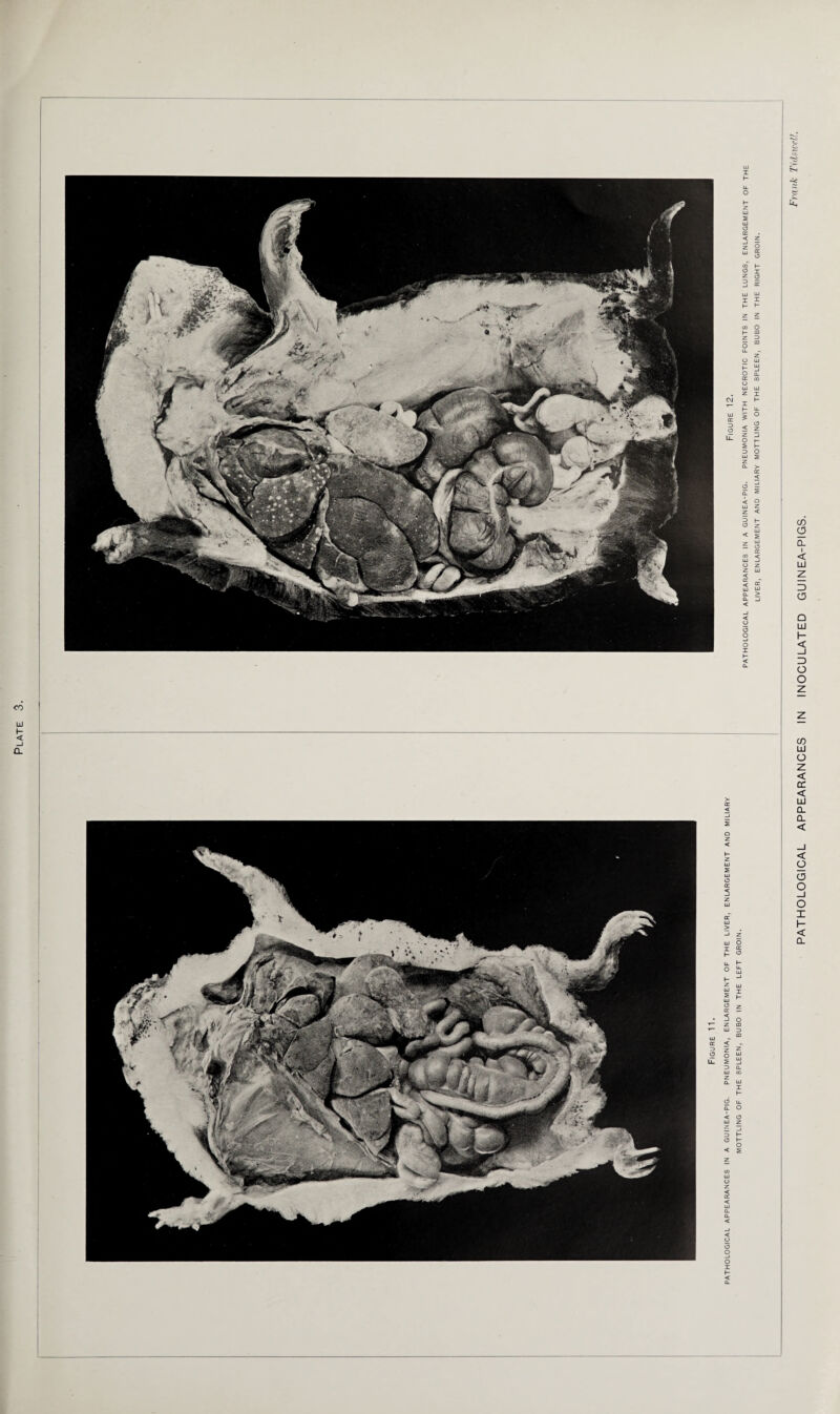 co (£ < CO (3 CL I < LU Z> o Q LU I- < _l =) o o LU o z < cc < LU CL CL < < q o o _i o I I- < Q.