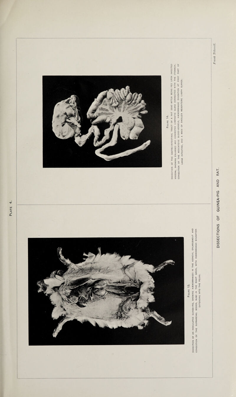 O «T * £ o £ i LU I 1 * i ¥5 2 S h < or Q z < o CL I < LU Z 3 LL O CO z o o LU CO CO Q