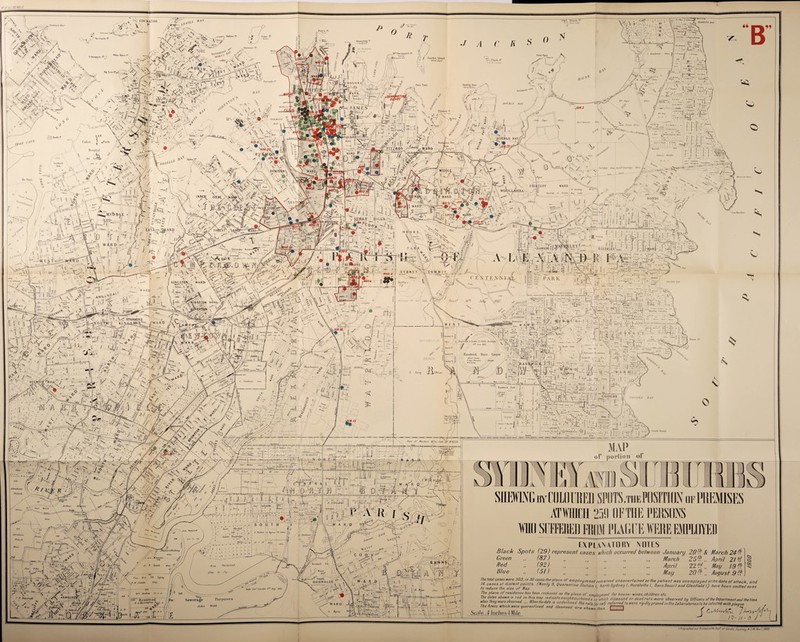 r<fin:> pomp CHAT00 ' Drummoyne Wharf lL$ bay oy --A x /' Wa > X / <5 ? 4 ~ d ,j‘ Syoc-lacle Srhnapjiov 1*0 iroRt* ' \T\ .. fig Tree PU> |i :t~ ^.W^V % v 'X COCKA ' • vs■ / 5U>S Vs It. - mi, V 2?V svitf'f -a j/S^fxgK, ■ !\“r» / v .1, -■'■■’.>!• w8&&&s3mki ,f ,0 X -vV'- s »te J? Bonne long 1“ ' ‘ Jubughalee ’ Mri’ Macquarie’s P1 r iit on (0VB ^WJlPP’ 4?, .__ WW|■r1-<-< ■' =; ' V- - “ iJark t\ *v.„ , .^,... -^\ V Mf9\\ Mt jr a t / ■MM.FjfT IF- 1 ** J6?r/ x,.. ,/J # • ■ ^ M ■ j **<» •**»' i U-u-hliarJt FVrk Thr Point ^ ' ’ . ^.r?.-'- 1 - 2ft.... '4 ■& x llosp.lal ^-u W(L ^ ■ (iJSy X' ^~(\ * 104 0 12 0*-V $ a \ n - • ) V * / ' ^ \ ' •//. > ■ .'. f V 4 N -*v \ ■?> , /|(X, rjY-' \ X - s \ ' _, - Ill W ■ J ,g GW»B ^4. ««^L' ^ ' sy 4. sMF1 “■& /AVV. 1 DFNfSliNV %r*s?. */ •- denis^x x •<- JI, /;. X. X -. jk .' w. _ A B1 Uf ij£ a/ It Wimiu-nrlh « X .v'y- x's _* v4i-a\ I 1 i / AC* |||E1CHHARJ)T ffiu|* v.* 1 -si •  fc? 4? c «X2. ^ #e/| f, Xff- - / m \ ' ^s\a\ 4 '‘4^. ' I CEE8E N.vwW\„ »*. x „Y f( - ECQIARIE™“'»»;- / I - O' .. flS**?'-/--: .«?,! .1 / riT7R0'Y w-f l/^ll K%3 1'X^ 4 r S 0 Garden Island jVoiW Oe/'of Point PI pi ^ Clark I’1 DOUBLE BAY '4 J / / .,7' < /, ~ ? x \ Rnsh^Uor Bail ’WARD | v ; /4 4 ft ^ X XJtv: ifA t--1 #^6^ Ml ^ FoVCsX '-'- ' 1 v'“r c:_x »*** / K*jp.-o v*.(iy^^.-. XXX-■ V ■; MIDDlt f |//X—: DIAMOND BAD **!*?*[ 4 s**rr*o. HugbntHubmy, 1 6i k9* f-rf: I B8^ CARB f{ /I A.»«. , M' .IrhkwJr, 50ac / / f ffL__ ■ •_1^*..J .»> ' ±‘L_ i*X' ’ / TVIL.* -II *—r \.x , v S'-x»s! I *•■*-. J 5» ^sa «»X‘rrr’''7 jfr, ■ i^rr - o/ ,. , . *-*JW 7T7 77i/)I Ben non War I V .«j<s ■'XrXX'«-s=- . . { <l),itt,Su, Sr\ -XtST-T-^ foot' . /_. f Cf ✓ s 0 ’•- >'•“ <3) x. j. rr rr *rr r ux •’•- Pt|S|i I Emnns Knight X, 1 i „ > . 4- a? fi ward X 4-X-X ffe.-X \ . EOCIC 3v<TsCfiT. y ' vwo°ll™ | 4  x' Tlw’Ball War Rtchd Fartndge 60ac L 5 T: rt‘ # , a. | ^. W v ^ a X.,_ CLIFF WARD VoftrUy «r Double^ .... I igSci'S ‘ 'A-. fv$ X ^ m jrr*^*; is; W Bradley BOaT^'y.; Bay ^ y - ‘t J i .< ., • f ;l : . • T II ] «50fc'|-«i -. •-. ** •' i; 5 *■ ji [> & ' ■ ^ -• *v A ^ It x siw* --N/ 4 ^•v . A> ... S .5X- -•? BONDI ^3X' s . f || h-* f 4 £  \ il j ii '- 5. -;X %&j m *™ ViXAXXX -,y:: M} i\ -.X A I ? v n '■ A^rloilliffi! S«Mj(S ' / x --. v . ... -i KINGSTON^ WA\|, // iM a x— l -T I, \ S ■' 7-AA sa . .- vs:ar AMO* , --• A «» PS ^ , -. ... — ^ £- j\^ V K K T •K X1 | p A F> A R K r r,‘X.;:, x. r.\ . , | WcW2^Y$2m 0® --AS A %My * T^f :•?. -! ••••: i j. BWWl » If. * ' X • »;> / 'A,. § ' 14' ” Sa?/ ’•(« 4x71 >Tll . , . ••—\A/i* t » llown P»r« f^P *$/) M* July VS •»-_ ^ • . , « —. ’■ J X 1-4 cA .'•V 4 -'X>/--- ; |iXXi(X XXX / X :_jCs./ -?:**..h *j 5*nil.-.iSi: • J\ ,ip, —•‘•r*’ • f -»iU7_. _,i.«»»)0»«> i.. --AlJx541- \ ffijnisnfx ]|ii::|:itii:li:lj:idi::Q™^ ’J’flar rf- j •' •X'1'’ •>•'-;! a—Ml.M-'lrl waverleyX^: ■' ..J |-|j-F xC*'* ?4.r ‘ x|-:X+ j't 'j> . j Jt’- r4XvXw+XlF r,TLX \, J . II ,.,kk x \ ^ A\ xx.... ■. rx | - \ SfeiPS; iJ^X 4 _ 5 7 kIi'i1 hrontC broktb y!:.A'-- •*•2^ Ixxfx\i11f,_, - rT i-«. jf yf“T JJ X -to l|: I k** - \ , X -If-/ - V*-. ' i,,.-j^ i: x: x ‘•“■V .'SjHi.jViil - Xj piX.*-*-1; 4-^-r •■ l“~y w‘IS.Vi»y t x.l. kr** ♦ ■ ! *1 I? V'- xl: h ;tC: EJ Vji /s^^Av.)~_r-j a2S2^1 r . jWiO^n, J r?77l IZl ••«-■*»« ^ «- \ > 7*r. ,|fT-^- x j*1 *‘‘*’7 ^ 1 Wiverici) Cinirion) V V O 1 - : A'.- . ja* ■, •*- £i:' a ;>r“ WEST Aocot | Si / ? '•' DULWICH *’h I LI. ;• 4\ * ' ■ ‘ •■ xwcax v. [X. | | 1'-' “ * // F I ^ coja.% A <0 ' C.A- . / V a%--«x^r ^ ■* fcA' I ■>* ©ir> * PETERS ST* H Needham 4Sae I '■ - Tm-NTHWCGB j- ■ L-Mj^o-3 J*/,/ ” iS / -'EiaX' .J*. Tarry y a. Jlandwick Rare Course JWW ElurAr A Dms JJuHnpAtm fhtAtee.' WBDalhy g 5; Jiplsrop.il llnsldnui* , - f /x:. »r_ NT ...Ill x4 If; < ^ *’* x c r./3 t ® ! ifiS i X5ill i RandwirR Park | | r ’ ' 7 s-” [i :«-./ ^ /f ],Lh y He* iJrruy l ^*7 >7 _ Dcouny flip* KlU j,*. gc5 v- •ply [.XW.A | S |x * yy* '.sidb. ster'.aJrt> - - 5r„-;- j sim,■ Xi '• Nd_ N / Benevolent, 1 Asylum X COOO HI- IIA V 0 v / ///'l' ;7'l-' «... /’ ■' ' :v /-A—J-r^-J4-x 7;-r--'^.A- uA„ A., . EEtn , . —Weae—, ~f Jj It j 1LfS-fMEiBt-ld 1 ... L,lr__ . 7i//o«L ■', //'.-•' MnhhN looa, c''' E ' n t R A a, / / T/wjM<iniMr>- - 'il/jhes aHo shiny ' 44ac i W >4. ^ Spark 4Sac & / Plan Misc 319 Sydney /e. IK [/nsaui SOac . \ ’ banc  X I ' •* * I ’ ’ urut i , I ’ Jioutledgc - i- /--« . ,• -j*-*', a;> , 3 if0*' *> \ f> Area Reclaimed I20ac. Or 2Sp Sewerage Purposes John Webb s o U T T. Walker I ylj Byrne M l^ttlA 35 3 30' 30pt r i 30 ac. / / 777 -,-,7 /j J u~l “Tx ^<*'4, - pT’ x; God Gazelle llU‘ Aug mi’ / - /Aiy/uaxif ILttU J , , ! rj 1 i |l 17 ' ~—L-1 J/ovJ. * I ——I Tart of' Winders 417ac tide AT 918224. U •CgCj'r' @K -~Eownl 1 y i’ll V ' . \ o .'X ’Jl w x; ' ' A <' H i '■ v K I S IWj A K W1 - v;4 j; „ M: f>0nd BOOF v -. ... ^ t - Sip®; c o a. k \ w* 4^,- i^io^ oo-Ay” -A A .7. ^x. W l A. Byrne uMGbtCOLOHED SPOTS,thePOSITM of PREMISES iTWHICH 259 OFTHE PERSONS MO SUFFERED FRRM PLAGUE WERE EMPLOYED EXPLANATnRV MI11S Black Spots (29) represent cases which occurred between January 20() & March 24- (( Green „ (87) „ „ „ „ March 25fh, ., April 2/ ?/ ^ /?e<y „ (92) „ „ „ „ „ April 22 ^ ^ ^ ^ue » (5!) „ ., „ ,, May 20 „ August 9 ((i The total cases were 303: in 30 cases the place oh employment remained unascertained or the patient was unemployed at the date or attack and 14 cases at d,slant points. (Manly 9, Quarantine Station i North Sydney I, Hurstvitte /. Sans Soucit and GlenField t) have been omitted so as to reduce the size or Map. ’ y The place oTresidence has been reckoned as the place of emphumenl For house-wives,children etc. he dates shewnm red on this map indicate neighbourhoods in which diseased or dead rats were observed by OFFicers oFIhe department and the time when they were observed _ When the date ,s underlined the rats (Brcat) referred to were rigtdty proved in the Laboratories to be inFected with plane The Areas which were quarantined and cleansed are shewn thus ‘-1 - H y- 5cale-4 Inches-I Mile