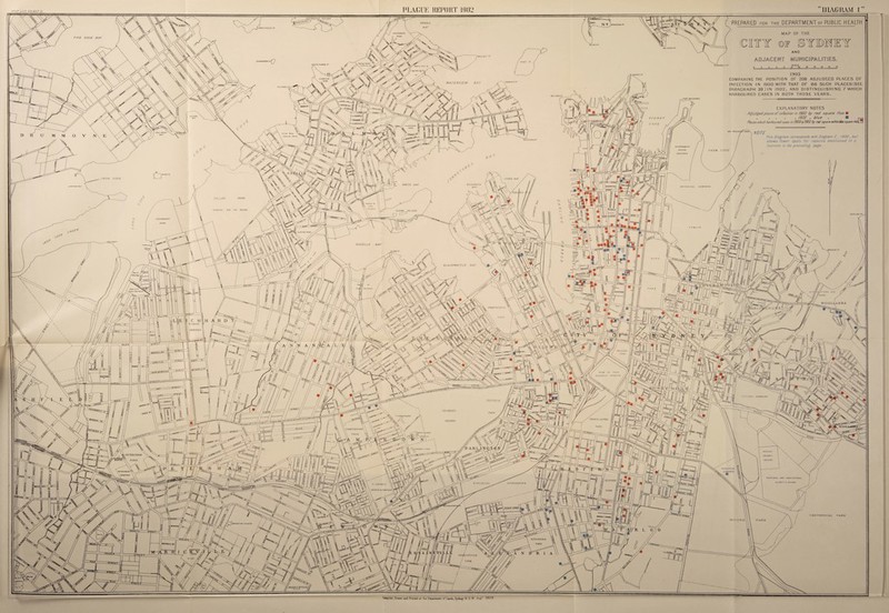 PLAGUE REPORT 1002 DIAGRAM I” COCKATOO ISLAND PREPARED FOR THE DEPARTMENT OF PUBLIC HEALTH SNAILS MAP OF THE FIVE DOCK BAY BLUES PI BALLAST PI GOAT M 1903 COMPARING THE POSITION OF 208 ADJUDCED PLACES OF INFECTION IN 1900 WITH THAT OF 86 SUCH PLACES(SEE PARACRAPH 39) IN 1902, AND DISTINGUISHING 7 WHICH HARBOURED CASES IN BOTH THOSE YEARS. SIMMONS WA TER VIE W BAY FORT MACOUARIE EXPLANATORY NOTES Adiudbed places oP infection in 1300 by red square thus ■ .1903 . blue B Places nhich harboured cases m 1900(1902by red square m/bin blue square H. MV KACqiM NOTE This Diagram corresponds w/ih Diagram C, /900, but shows fewer spots Dor reasons mentioned m 9 Tootnote to the preceding page- PEACOCKS PI FARM COVE QROSVENOR STREET ELIZABETH BAY WHITE BAY POTTS Pi PARK HOSPITAL POP THE INSANE GLEBE ISLAND EASTON PARK BLACKWATTLE BAY >f jgST WENTWORTH ALLEN' HUB RAILWAY STATU ■west- •parramattT VICTORIA UNIVERSITY PRINCE ALFRED GROUNDS wool PARK camperdown1 PARK PETERSHAM PARK AGRICULTURAL STEPHENS PARK CENTENNIAL PARK ALEXANDRIA ER&klNEVILLE 'MARXICKVILLE/ PARK I Compiled.. Drawn and Prurtad at the st 1903
