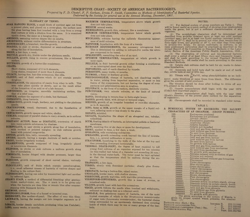 DESCRIPTIVE CHART—SOCIETY OF AMERICAN BACTERIOLOGISTS. Prepared by F. D. Chester, F. P. Gorham, Erwin F. Smith, Committee on Methods of Identification of Bacterial Species. Endorsed by the Society for general use at the Annual Meeting, December, 1907. GLOSSARY OF TERMS. AGAR HANGING BLOCK, a small block of nutrient agar cut from a poured plate, and placed on a cover-glass, the surface next the glass having been first touched with a loop from a young fluid culture or with a dilution from the same. It is examined upside down, the same as a hanging drop. AMEBOID, assuming various shapes like an ameba. AMORPHOUS, without visible differentiation in structure. ARBORESCENT, a branched, tree-like growth. BEADED, in stab or stroke, disjointed or semi-confluent colonies along the line of inoculation. BRIEF, a few days, a week. BRITTLE, growth dry, friable under the platinum needle. BULLATE, growth rising in convex prominences, like a blistered surface. BUTYROUS, growth of a butter-like consistency. CHAINS, Short chains, composed of 2 to 8 elements, Long chains, composed of more than 8 elements. CILIATE, having fine, hair-like extensions, like cilia. CLOUDY, said of fluid cultures which do not contain pseudo- zooglcese. COAGULATION, the separation of casein from whey in milk. This may take place quickly or slowly, and as the result either of the formation of an acid or of a lab ferment. CONTOURED, an irregular, smoothly undulating surface, like that of a relief map. CONVEX, surface the segment of a circle, but flattened. COPROPHYL, dung bacteria. CORIACEOUS, growth tough, leathery, not yielding to the platinum needle. CRATERIFORM, round, depressed, due to the liquefaction of the medium. CRETACEOUS, growth opaque and white, chalky. CURLED, composed of parallel chains in wavy strands, as in anthrax colonies. DIASTASIC ACTION, Same as DIASTATIC, conversion of starch into water-soluble substances by diastase. ECHINULATE, in agar stroke a growth along line of inoculation, with toothed or pointed margins; in stab cultures growth beset with pointed outgrowths. EFFUSE, growth thin, veily, unusually spreading. ENTIRE, smooth, having a margin destitute of teeth or notches. EROSE, border irregularly toothed. FILAMENTOUS, growth composed of long, irregularly placed or interwoven filaments. FILIFORM, in stroke or stab cultures a uniform growth along line of inoculation. FIMBRIATE, border fringed with slender processes, larger than filaments. FLOCCOSE, growth composed of short curved chains, variously oriented. FLOCCULENT, said of fluids which contain pseudozoogloese, i. e., small adherent masses of bacteria of various shapes and floating in the culture fluid. FLUORESCENT, having one color by transmitted light and another by reflected light. GRAM’S STAIN, a method of differential bleaching after gentian- violet, methyl-violet, etc. The + mark is to be given only when the bacteria are deep blue or remain blue after counter- staining with Bismarck brown. GRUMOSE, clotted. INFUNDIBULIFORM, form of a funnel or inverted cone. IRIDESCENT, like mother-of-pearl. The effect of very thin films. LACERATE, having the margin cut into irregular segments as if torn. LOBATE, border deeply undullate, producing lobes (see Undulate). LONG, many weeks, or months. MAXIMUM TEMPERATURE, temperature above which growth does not take place. MEDIUM several weeks. MEMBRANOUS, growth thin, coherent, like a membrane. MINIMUM TEMPERATURE, temperature below which growth does not take place. MYCELIOID, colonies having the radiately filamentous appear¬ ance of mold colonies. NAPIFORM, liquefaction with the form of a turnip. NITROGEN REQUIREMENTS, the necessary nitrogenous food. This is determined by adding to nitrogen-free media the nitro¬ gen compound to be tested. OPALESCENT, resembling the color of an opal. OPTIMUM TEMPERATURE, temperature at which growth is most rapid. PELLICLE, in fluid bacterial growth either forming a continuous or an interrupted sheet over the fluid. PEPTONIZED, said of curds dissolved by trypsin. PERSISTENT, many weeks, or months. PLUMOSE, a fleecy or feathery growth. PSEUDOZOOGLCEiE, clumps of bacteria, not dissolving readily in water, arising from imperfect separation, or more or less fusion of the components, but not having the degree of com¬ pactness and gelatinization seen in zoogloese. PULVINATE, in the form of a cushion, decidedly convex. PUNCTIFORM, very minute colonies, at the limit of natural vision. RAPID, Developing in twenty-four to forty-eight hours RAISED, growth thick, with abrupt or terraced edges. RHIZOID, growth of an irregular branched or root-like character, as in B. mycoides. RING, Same as RIM, growth at the upper margin of a liquid cul¬ ture, adhering more or less closely to the glass. REP AND, wrinkled. SACCATE, liquefaction the shape of an elongated sac, tubular, cylindrical. SCUM, floating islands of bacteria, an interrupted pellicle or bacterial membrane. SLOW, requiring five or six days or more for development. SHORT, applied to time, a few days, a week. SPORANGIA, cells containing endospores. SPREADING, growth extending much beyond the line of inocula¬ tion, i. e.. several millimeters or more. STRATIFORM, liquefying to the walls of the tube at the top and then proceeding downward horizontally. THERMAL DEATH-POINT, the degree of heat required to kill j oung fluid cultures of an organism exposed for ten minutes (in thin-walled test tubes of a diameter not exceeding 20 mm.) in the thermal water-bath. The water must be kept agitated so that the temperature shall be uniform during the ex¬ posure. TRANSIENT, a few days. TURBID, cloudy with flocculent particles; cloudy plus floccu- lence. UMBONATE, having a button-like, raised center. UNDULATE, border wavy, with shallow sinuses. VERRUCOSE, growth wart-like, with wart-like prominences. VERMIFORM-CONTOURED, growth like a mass of worms, or intestinal coils. VILLOUS, growth beset with hair-like extensions. VISCID, growth follows the needle when touched and withdrawn, sediment on shaking rises as a coherent swirl. ZOOGLGEiE, firm gelatinous masses of bacteria, one of the most typical examples of which is the Streptococcus mesenterioides of sugar vats (Leuconostoc mesenterioides), the bacterial chains being surrounded by an enormously thickened firm covering inside of which there may be one or many groups of the bac¬ teria. NOTES. (1) For decimal system of group numbers see Table 1. This will be found useful as a quick method of showing close relationships inside the genus, but is not a sufficient characterization of any organism. (2) The morphologic characters shall be determined and described from growths obtained upon at least one solid medium (nutrient agar) and in at least one liquid medium (nutrient broth). Growths at 37° C. shall be in general not older than twenty-four to forty-eight hours, and growths at 20° C. not older than forty-eight to seventy-two hours. To secure uniformity in cultures, in all cases preliminary cultivation shall be practised as described in the revised Report of the Committee on Standard Methods ol the Labo¬ ratory Section of the American Public Health Association, 1905., (3) The observation of cultural and bio-chemical features shall cover a period of at least fifteen days and frequently longer, and shall be made according to the revised Standard Methods above referred to. All media shall be made according to the same Standard Methods. (4) Gelatin stab cultures shall be held for six wreeks to deter¬ mine liquefaction. (5) Ammonia and indol tests shall be made at end of tenth day, nitrite tests at end of fifth day. N (6) Titrate with ^NaOH, using phenolphthalein as an indi¬ cator: make titrations at same times from blank. The difference gives the amount of acid produced. The titration should be done after boiling to drive off any C02 present in the culture. (7) Generic nomenclature shall begin with the year 1872 (Cohn’s first important paper). Species nomenclature shall begin with the year 1880 (Koch’s discovery of the poured plate method for the separation of organisms). (8) Chromogenesis shall be recorded in standard color terms. TABLE I. A NUMERICAL SYSTEM OF RECORDING THE SALIENT CHARACTERS OF AN ORGANISM. (GROUP NUMBER.) 100.Endospores produced 200.Endospores not produced 10.Aerobic (Strict) 20.Facultative anaerobic 30.Anaerobic (Strict) 1 .Gelatin liquefied 2 .Gelatin not liquefied 0-1.Acid and gas from dextrose 0-2.Acid without gas from dextrose 0.3.No acid from dextrose 0-4.No growth with dextrose •01.Acid and gas from lactose •0^.Acid without gas from lactose •03.No acid from lactose •04.No gro-wth with lactose •001.Acid and gas from saccharose •®0^.tVcid gas from saccharose •003.No acid from saccharose •004..No growth with saccharose .Nitrates reduced with evolution of gas .000-.Nitrates not reduced Si::::: :F&S££^uced without gas forma,ion .00002.Violet chromogens •00003.Blue chromogems .00004.Green chromogens .00005.A ellow chromogens .00006.Orange chromogens •00007.Red chromogens .00008.Brown chromogens .00009.Pink chromogens .00000.Non-chromogenic •SnJXni.Diastasic action on potato starch, strong 000003.Diastasic action on potato starch, feeble S l::;absent :S::: Elycerin .OOOOOO4-No growth with glycerin • lhe Senus according to the system of Migula i«s thus- Wr°per s^bo1 whieh precedes the number Bacillus coli (Esch.) Mig. becomes B 999 1111 no Bacillus alcaligenks Petr. “  p' oTo'qqqlno 1 SEUDOMONAS CAMPF.STRIS (Pam.) Sm. “ pi 9f'000}?? Bacterium suicida Mig. *« 333151 & Bact. 222.232 ?03