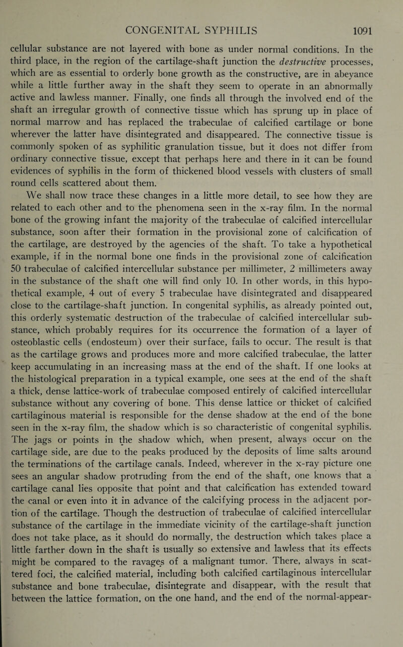 cellular substance are not layered with bone as under normal conditions. In the third place, in the region of the cartilage-shaft junction the destructive processes, which are as essential to orderly bone growth as the constructive, are in abeyance while a little further away in the shaft they seem to operate in an abnormally active and lawless manner. Finally, one finds all through the involved end of the shaft an irregular growth of connective tissue which has sprung up in place of normal marrow and has replaced the trabeculae of calcified cartilage or bone wherever the latter have disintegrated and disappeared. The connective tissue is commonly spoken of as syphilitic granulation tissue, but it does not differ from ordinary connective tissue, except that perhaps here and there in it can be found evidences of syphilis in the form of thickened blood vessels with clusters of small round cells scattered about them. We shall now trace these changes in a little more detail, to see how they are related to each other and to the phenomena seen in the x-ray film. In the normal bone of the growing infant the majority of the trabeculae of calcified intercellular substance, soon after their formation in the provisional zone of calcification of the cartilage, are destroyed by the agencies of the shaft. To take a hypothetical example, if in the normal bone one finds in the provisional zone of calcification 50 trabeculae of calcified intercellular substance per millimeter, 2 millimeters away in the substance of the shaft o‘ne will find only 10. In other words, in this hypo¬ thetical example, 4 out of every 5 trabeculae have disintegrated and disappeared close to the cartilage-shaft junction. In congenital syphilis, as already pointed out, this orderly systematic destruction of the trabeculae of calcified intercellular sub¬ stance, which probably requires for its occurrence the formation of a layer of osteoblastic cells (endosteum) over their surface, fails to occur. The result is that as the cartilage grows and produces more and more calcified trabeculae, the latter keep accumulating in an increasing mass at the end of the shaft. If one looks at the histological preparation in a typical example, one sees at the end of the shaft a thick, dense lattice-work of trabeculae composed entirely of calcified intercellular substance without any covering of bone. This dense lattice or thicket of calcified cartilaginous material is responsible for the dense shadow at the end of the bone seen in the x-ray film, the shadow which is so characteristic of congenital syphilis. The jags or points in the shadow which, when present, always occur on the cartilage side, are due to the peaks produced by the deposits of lime salts around the terminations of the cartilage canals. Indeed, wherever in the x-ray picture one sees an angular shadow protruding from the end of the shaft, one knows that a cartilage canal lies opposite that point and that calcification has extended toward the canal or even into it in advance of the calcifying process in the adjacent por¬ tion of the cartilage. Though the destruction of trabeculae of calcified intercellular substance of the cartilage in the immediate vicinity of the cartilage-shaft junction does not take place, as it should do normally, the destruction which takes place a little farther down in the shaft is usually so extensive and lawless that its effects might be compared to the ravages of a malignant tumor. There, always in scat¬ tered foci, the calcified material, including both calcified cartilaginous intercellular substance and bone trabeculae, disintegrate and disappear, with the result that between the lattice formation, on the one hand, and the end of the normal-appear-