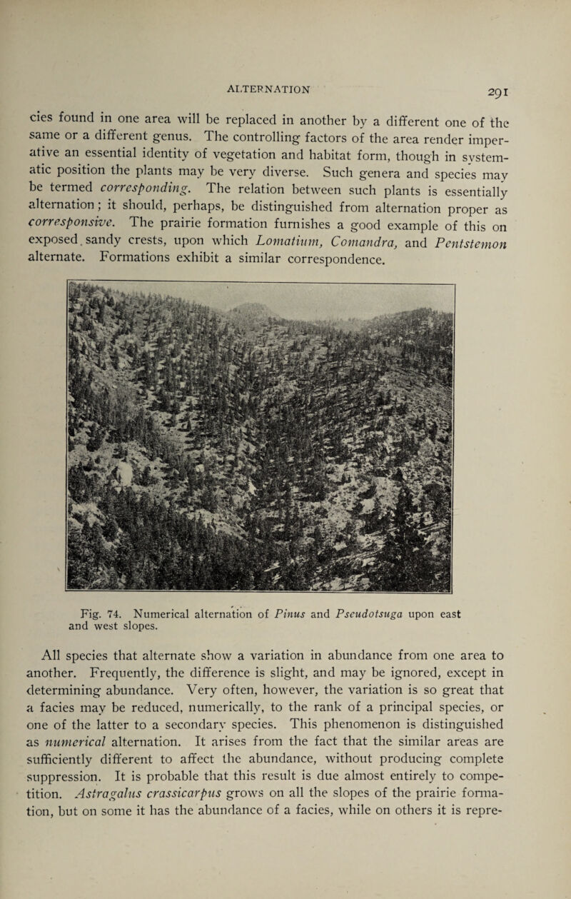 cies found in one area will be replaced in another by a different one of the same or a different genus. The controlling factors of the area render imper¬ ative an essential identity of vegetation and habitat form, though in svstem- atic position the plants may be very diverse. Such genera and species may be termed corresponding. The relation between such plants is essentially alternation ; it should, perhaps, be distinguished from alternation proper as corresponsive. The prairie formation furnishes a good example of this on exposed. sandy crests, upon which Lomatinm, Comandra, and Pentstemon alternate. Formations exhibit a similar correspondence. Fig. 74. Numerical alternation of Pinus and Pseudotsuga upon east and west slopes. All species that alternate show a variation in abundance from one area to another. Frequently, the difference is slight, and may be ignored, except in determining abundance. Very often, however, the variation is so great that a facies may be reduced, numerically, to the rank of a principal species, or one of the latter to a secondary species. This phenomenon is distinguished as numerical alternation. It arises from the fact that the similar areas are sufficiently different to affect the abundance, without producing complete suppression. It is probable that this result is due almost entirely to compe¬ tition. Astragalus crassicarpus grows on all the slopes of the prairie forma¬ tion, but on some it has the abundance of a facies, while on others it is repre-