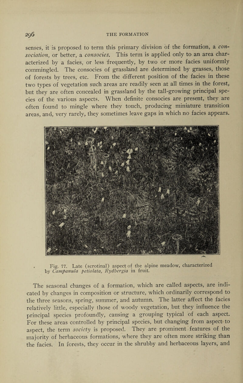 senses, it is proposed to term this primary division of the formation, a con¬ sociation, or better, a consocies. This term is applied only to an area char¬ acterized by a facies, or less frequently, by two or more facies uniformly commingled. The consocies of grassland are determined by grasses, those of forests by trees, etc. From the different position of the facies in these two types of vegetation such areas are readily seen at all times in the forest, but they are often concealed in grassland by the tall-growing principal spe¬ cies of the various aspects. When definite consocies are present, they are often found to mingle where they touch, producing miniature transition areas, and, very rarely, they sometimes leave gaps in which no facies appears. Fig. 77. Late (serotinal) aspect of the alpine meadow, characterized bv Campanula pctiolata, Rydbergia in fruit. The seasonal changes of a formation, which are called aspects, are indi¬ cated by changes in composition or structure, which ordinarily correspond to the three seasons, spring, summer, and autumn. The latter affect the facies relatively little, especially those of woody vegetation, but they influence the principal species profoundly, causing a grouping typical of each aspect. For these areas controlled by principal species, but changing from aspect to aspect, the term society is proposed. They are prominent features of the majority of herbaceous formations, where they are often more striking than the facies. In forests, they occur in the shrubby and herbaceous layers, and