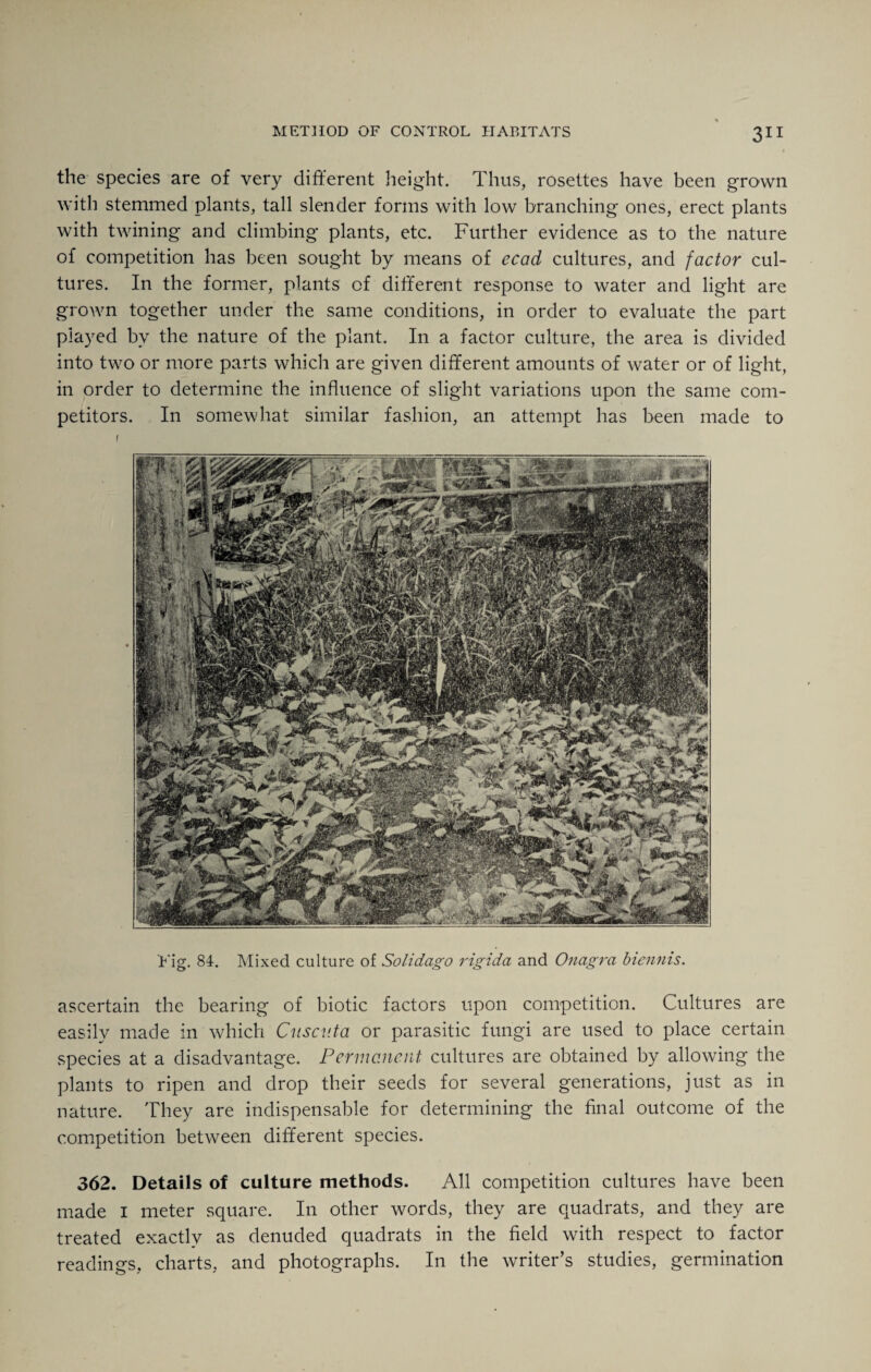 the species are of very different height. Thus, rosettes have been grown with stemmed plants, tall slender forms with low branching ones, erect plants with twining and climbing plants, etc. Further evidence as to the nature of competition has been sought by means of ecad cultures, and factor cul¬ tures. In the former, plants of different response to water and light are grown together under the same conditions, in order to evaluate the part played bv the nature of the plant. In a factor culture, the area is divided into two or more parts which are given different amounts of water or of light, in order to determine the influence of slight variations upon the same com¬ petitors. In somewhat similar fashion, an attempt has been made to 1 'Fig. 84. Mixed culture of Soli dago rigida and Onagra biennis. ascertain the bearing of biotic factors upon competition. Cultures are easily made in which Cnscuta or parasitic fungi are used to place certain species at a disadvantage. Permanent cultures are obtained by allowing the plants to ripen and drop their seeds for several generations, just as in nature. They are indispensable for determining the final outcome of the competition between different species. 362. Details of culture methods. All competition cultures have been made i meter square. In other words, they are quadrats, and they are treated exactly as denuded quadrats in the field with respect to factor readings, charts, and photographs. In the writer’s studies, germination