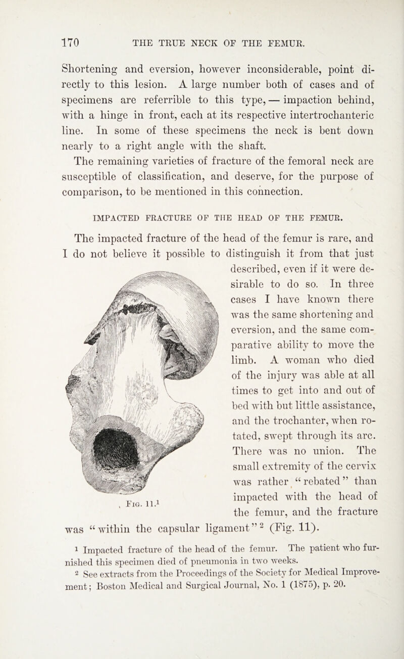 Shortening and eversion, however inconsiderable, point di¬ rectly to this lesion, A large number both of cases and of specimens are referrible to this type, — impaction behind, with a hinge in front, each at its respective intertrochanteric line. In some of these specimens the neck is bent down nearly to a right angle with the shaft. The remaining varieties of fracture of the femoral neck are susceptible of classification, and deserve, for the purpose of comparison, to be mentioned in this connection. IMPACTED FRACTURE OF TIIE HEAD OF THE FEMUR. The impacted fracture of the head of the femur is rare, and I do not believe it possible to distinguish it from that just described, even if it were de¬ sirable to do so. In three cases I have known there was the same shortening and eversion, and the same com¬ parative ability to move the limb. A woman who died of the injury was able at all times to get into and out of bed with but little assistance, and the trochanter, when ro¬ tated, swept through its arc. There was no union. The small extremity of the cervix was rather “ rebated ” than impacted with the head of the femur, and the fracture was “within the capsular ligament”2 (Fig. 11). 1 Impacted fracture of the head of the femur. The patient who fur¬ nished this specimen died of pneumonia in two weeks. 2 See extracts from the Proceedings of the Society for Medical Improve¬ ment; Boston Medical and Surgical Journal, No. 1 (1875), p. 20.