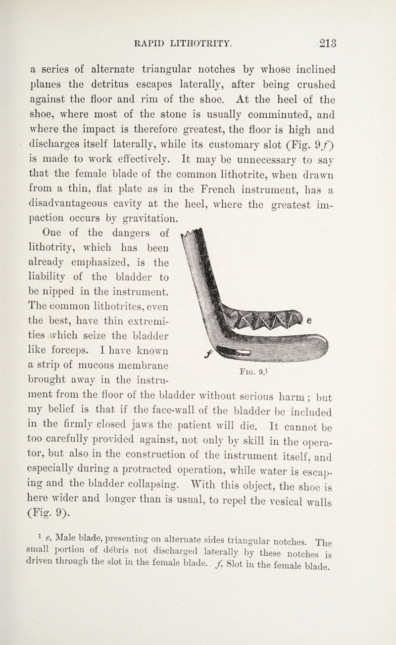 a series of alternate triangular notches by whose inclined planes the detritus escapes laterally, after being crushed against the floor and rim of the shoe. At the heel of the shoe, where most of the stone is usually comminuted, and where the impact is therefore greatest, the floor is high and - discharges itself laterally, while its customary slot (Fig. 9/) is made to work effectively. It may be unnecessary to say that the female blade of the common lithotrite, when drawn from a thin, flat plate as in the French instrument, has a disadvantageous cavity at the heel, where the greatest im¬ paction occurs by gravitation. One of the dangers of lithotrity, which has been already emphasized, is the liability of the bladder to be nipped in the instrument. The common lithotrites, even the best, have thin extremi¬ ties which seize the bladder like forceps. I have known a strip of mucous membrane brought away in the instru¬ ment from the floor of the bladder without serious harm; but my belief is that if the face-wall of the bladder be included in the firmly closed jawrs the patient will die. It cannot be too carefully provided against, not only by skill in the opera¬ tor, but also in the construction of the instrument itself, and especially during a protracted operation, while water is escap¬ ing and the bladdei collapsing. TV ith this object, the shoe is here videi and longei than is usual, to repel the vesical walls (Fig. 9). 1 e, Male blade, presenting on alternate sides triangular notches. The small portion of debris not discharged laterally by these notches is driven through the slot in the female blade. f7 Slot in the female blade Pig. 9.1