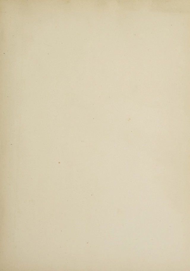 digitised image 3