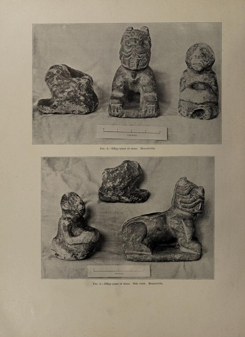 Fig. 2.—Effigy-pipes of stone. Moumlville. Fig. 3.— Effigy-pipes of stone. Side view. Moundville,