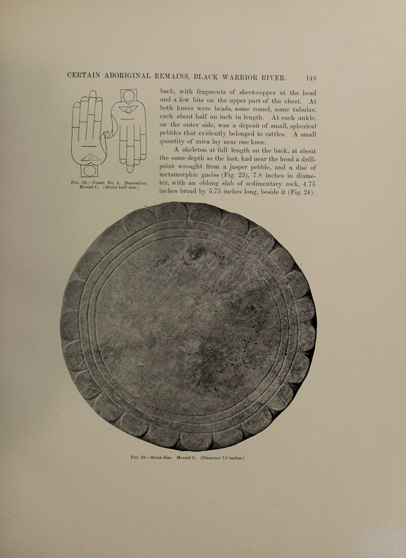 Fig. 22.—Vessel No. 4. Decoration. Mound C. (About half size.) back, with fragments of sheet-copper at the head and a few bits on the upper part of the chest. At both knees were beads, some round, some tubular, each about half an inch in length. At each ankle, 011 the outer side, was a deposit of small, spherical pebbles that evidently belonged to rattles. A small quantity of mica lay near one knee. A skeleton at full length on the back, at about the same depth as the last, had near the head a drill- point wrought from a jasper pebble, and a disc of metamorphic gneiss (big. 23), 7.8 inches in diame¬ ter, with an oblong slab of sedimentary rock, 4.75 inches broad by 5.75 inches long, beside it (Fig. 24). Fig. 23.—Stone disc. Mound C. (Diameter 7.8 inches.)