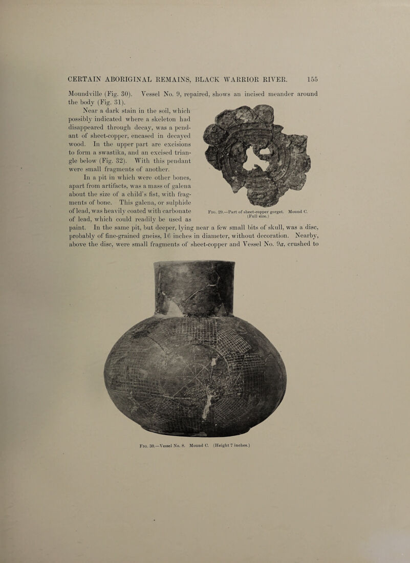 Moundville (Fig. 30). Vessel No. 9, repaired, shows an incised meander around the body (Fig. 31). Near a dark stain in the soil, which possibly indicated where a skeleton had disappeared through decay, was a pend¬ ant of sheet-copper, encased in decayed wood. In the upper part are excisions to form a swastika, and an excised trian¬ gle below (Fig. 32). With this pendant were small fragments of another. In a pit in which were other bones, apart from artifacts, was a mass of galena about the size of a child’s fist, with frag¬ ments of bone. This galena, or sulphide of lead, was heavily coated with carbonate Fig. 29.—Part of sheet-copper gorget. Mound C. of lead, which could readily be used as (Fu11 S1/e') paint. In the same pit, but deeper, lying near a few small bits of skull, was a disc, probably of fine-grained gneiss, 16 inches in diameter, without decoration. Nearby, above the disc, were small fragments of sheet-copper and Vessel No. da, crushed to Fig. 30.—Vessel No. 8. Mound C. (Height 7 inches.)