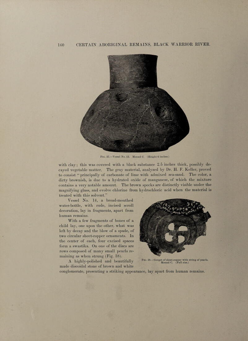 Fig. 37.—Vessel No. 13. Mound C. (Height 6 inches.) with clay; this was covered with a black substance 2.5 inches thick, possibly de¬ cayed vegetable matter. The gray material, analyzed by Dr. H. F. Keller, proved to consist “principally of carbonate of lime with admixed sea-sand. The color, a dirty brownish, is due to a hydrated oxide of manganese, of which the mixture contains a very notable amount. The brown specks are distinctly visible under the magnifying glass, and evolve chlorine from hydrochloric acid when the material is treated with this solvent.” Vessel No. 14, a broad-mouthed water-bottle, with rude, incised scroll decoration, lay in fragments, apart from human remains. With a few fragments of bones of a child lay, one upon the other, what was left by decay and the blow of a spade, of two circular sheet-copper ornaments. In the center of each, four excised spaces form a swastika. On one of the discs are rows composed of many small pearls re¬ maining as when strung (Fig. 38). A highly-polished and beautifully *»• *-°*nS2?STJK &*** ^ made discoidal stone of brown and white conglomerate, presenting a striking appearance, lay apart from human remains.