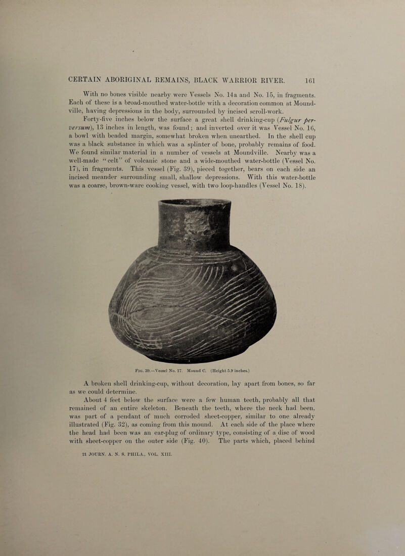 With no bones visible nearby were Vessels No. 14a and No. 15, in fragments. Each of these is a broad-mouthed water-bottle with a decoration common at Mound- ville, having depressions in the body, surrounded by incised scroll-work. Forty-five inches below the surface a great shell drinking-cup (Fulgur per- versum), 13 inches in length, was found; and inverted over it was Vessel No. 16, a bowl with beaded margin, somewhat broken when unearthed. In the shell cup was a black substance in which was a splinter of bone, probably remains of food. We found similar material in a number of vessels at Moundville. Nearby was a well-made “celt” of volcanic stone and a wide-mouthed water-bottle (Vessel No. 17), in fragments. This vessel (Fig. 39), pieced together, bears on each side an incised meander surrounding small, shallow depressions. With this water-bottle was a coarse, brown-ware cooking vessel, with two loop-handles (Vessel No. 18). Fig. 3,9.—Vessel No. 17. Mound C. (Height 5.9 inches.) A broken shell drinking-cup, without decoration, lay apart from bones, so far as we could determine. About 4 feet below the surface were a few human teeth, probably all that remained of an entire skeleton. Beneath the teeth, where the neck had been, was part of a pendant of much corroded sheet-copper, similar to one already illustrated (Fig. 32), as coming from this mound. At each side of the place where the head had been was an ear-plug of ordinary type, consisting of a disc of wood with sheet-copper on the outer side (Fig. 40). The parts which, placed behind 21 JOUKN. A. N. S. PHILA., VOL. XIII.