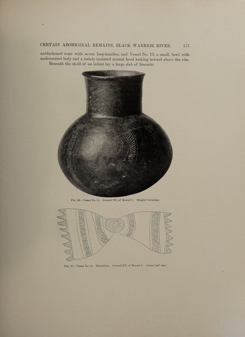 unblackened ware with seven loop-handles, and Vessel No. 13, a small bowl with undecorated body and a rudely imitated animal head looking inward above the rim. Beneath the skull of an infant lay a large slab of limonite. Fig. 56.—Vessel No. 11. Ground NE. of Mound C. (Height 7.4 inches.) Fig. 57.—Vessel No. 11. Decoration. Ground NE. of Mound C. (About half size.)