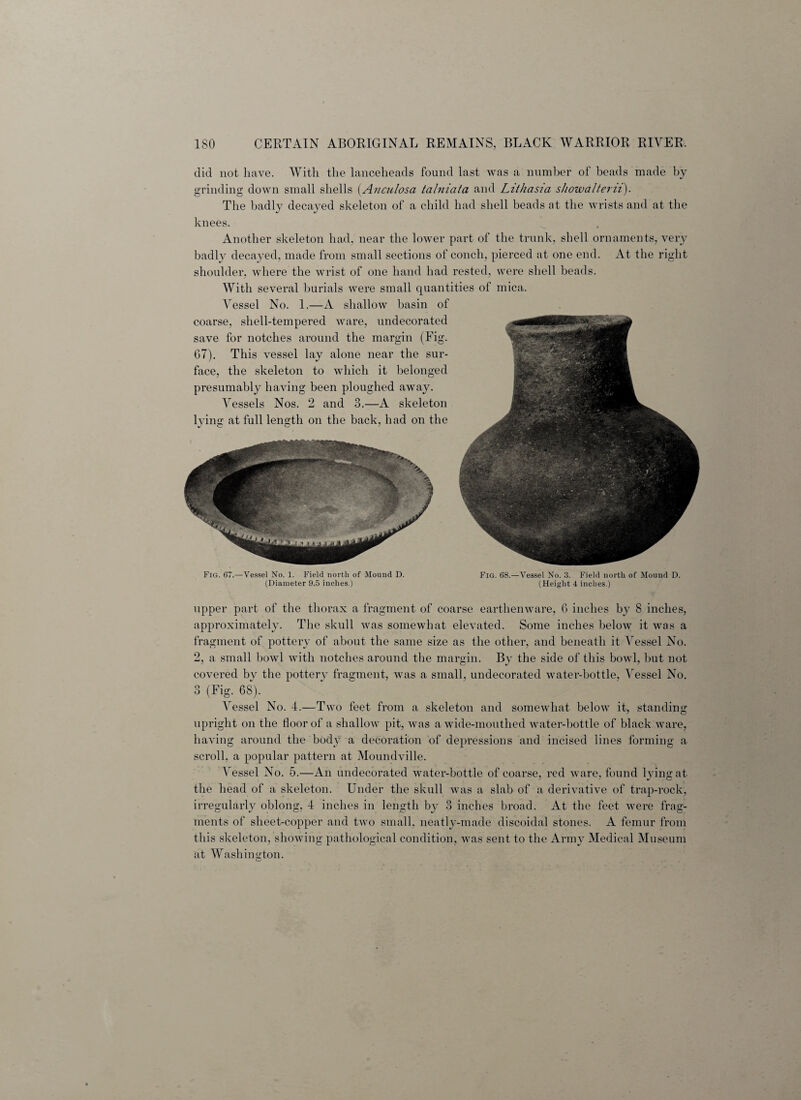 did not have. With the lanceheads found last was a number of beads made by grinding down small shells (Anculosa talniata and Lithasia sJiowalteru). The badly decayed skeleton of a child had shell beads at the wrists and at the knees. Another skeleton had, near the lower part of the trunk, shell ornaments, very badly decayed, made from small sections of conch, pierced at one end. At the right shoulder, where the wrist of one hand had rested, were shell beads. With several burials were small quantities of mica. Vessel No. 1.—A shallow basin of coarse, shell-tempered ware, undecorated save for notches around the margin (Fig. 67). This vessel lay alone near the sur¬ face, the skeleton to which it belonged presumably having been ploughed away. Vessels Nos. 2 and 3.—A skeleton lying at full length on the back, had on the */ C o / Fig. 67.—Vessel No. 1. Field north of Mound D. Fig. 68.—Vessel No. 3. Field north of Mound D. (Diameter 9.5 inches.) (Height 4 inches.) upper part of the thorax a fragment of coarse earthenware, 6 inches by 8 inches, approximately. The skull was somewhat elevated. Some inches below it was a fragment of pottery of about the same size as the other, and beneath it Vessel No. 2, a small bowl with notches around the margin. By the side of this bowl, but not covered by the pottery fragment, was a small, undecorated water-bottle, Vessel No. 3 (Fig. 68). Vessel No. 4.—Two feet from a skeleton and somewhat below it, standing upright on the floor of a shallow pit, was a wide-mouthed water-bottle of black ware, having around the body a decoration of depressions and incised lines forming a scroll, a popular pattern at Moundville. Vessel No. 5.—An undecorated w\ater-bottle of coarse, red ware, found lying at the head of a skeleton. Under the skull was a slab of a derivative of trap-rock, irregularly oblong, 4 inches in length by 3 inches broad. At the feet were frag¬ ments of sheet-copper and two small, neatly-made discoidal stones. A femur from this skeleton, showing pathological condition, was sent to the Army Medical Museum at Washington.