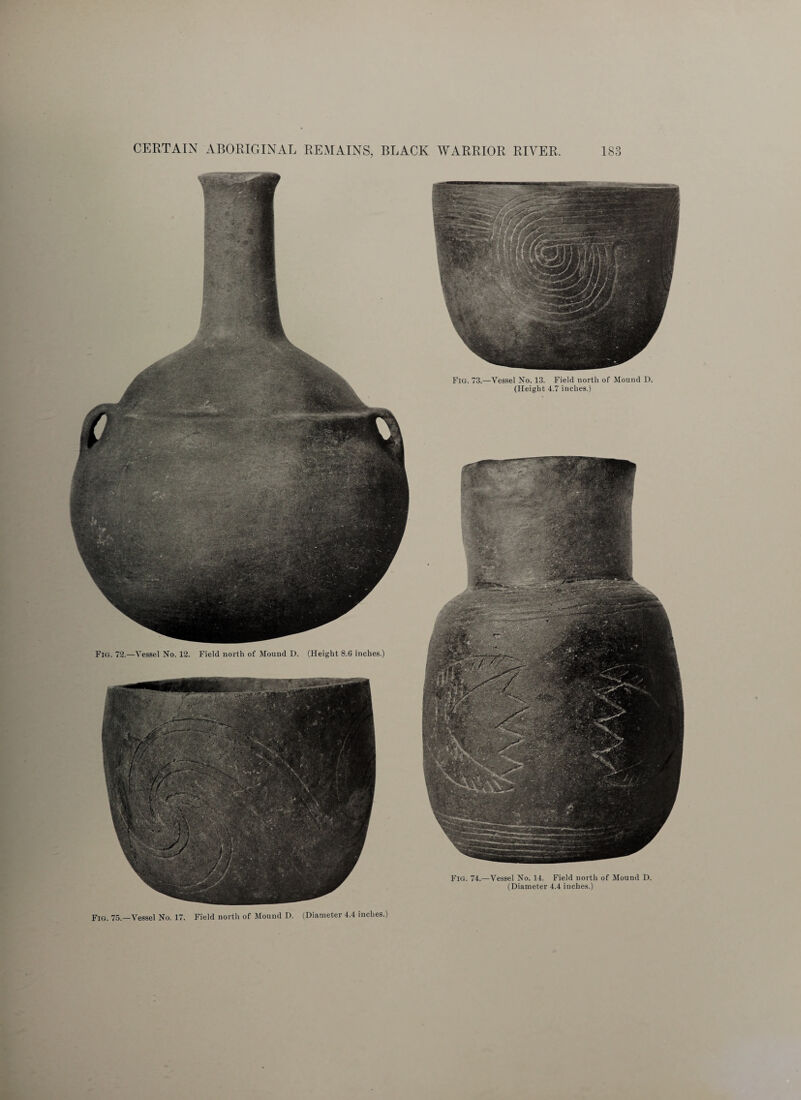 Fig. 72.—Vessel No. 12. Field north of Mound D. (Height 8.6 inches.) Fig. 73.—Vessel No. 13. Field north of Mound D. (Height 4.7 inches.) Fig. 74.—Vessel No. 14. Field north of Mound D. (Diameter 4.4 inches.) Fig. 75.—Vessel No. 17. Field north of Mound D. (Diameter 4.4 inches.)