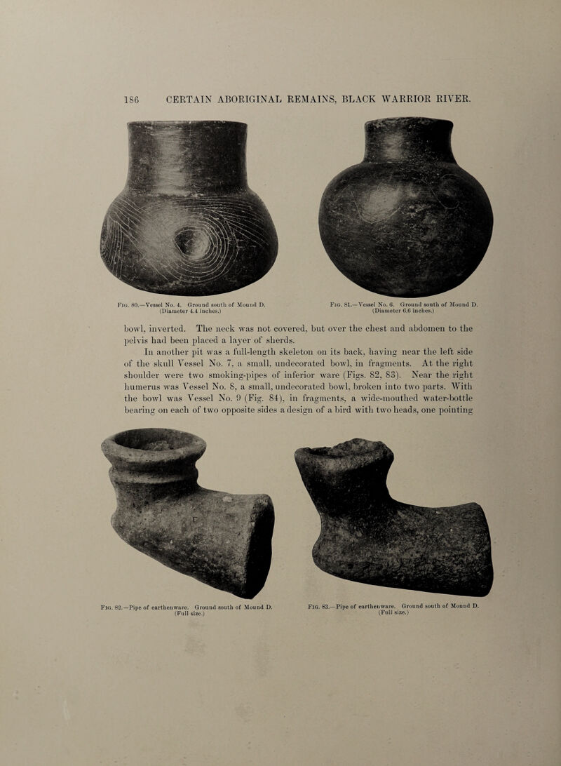 Fig. 80.—-Vessel No. 4. Ground south of Mound D. (Diameter 4.4 inches.) Fig. 81.— Vessel No. 6. Ground south of Mound D. (Diameter 6.6 inches.) bowl, inverted. The neck was not covered, but over the chest and abdomen to the pelvis had been placed a layer of sherds. In another pit was a full-length skeleton on its back, having near the left side of the skull Vessel No. 7, a small, undecorated bowl, in fragments. At the right shoulder were two smoking-pipes of inferior ware (Figs. 82, 83). Near the right humerus was Vessel No. 8, a small, undecorated bowl, broken into two parts. With the bowl was Vessel No. 9 (Fig. 84), in fragments, a wide-mouthed water-bottle bearing on each of two opposite sides a design of a bird with two heads, one pointing Fig. 82.—Pipe of earthenware. Ground south of Mound D. (Full size.) Fig. 83.—Pipe of earthenware. Ground south of Mound D. (Full size.)