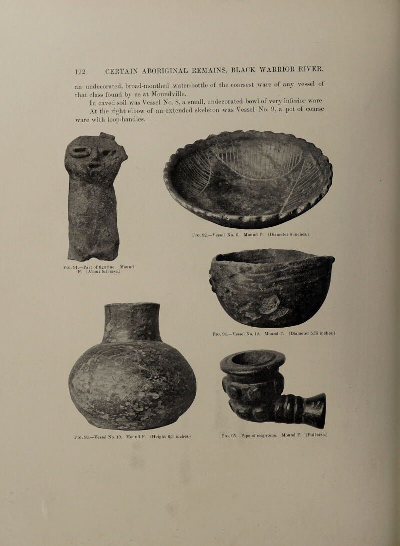 an undecorated, broad-mouthed water-bottle of the coarsest ware of any vessel of that class found by us at Moundville. In caved soil was \essel No. 8, a small, undecorated bowl ol very infeiioi ware. At the right elbow of an extended skeleton was I essel No. 9, a pot ot coarse ware with loop-handles. Fig. 92.—Vessel No. 6. Mouud F. (Diameter 8 inches.) Fig. 91.—Part of figurine. Mound F. (About full size.) Fig. 91.—Vessel No. 12. Mound F. (Diameter 5.75 inches.) Fig. 93.—Vessel No. 10. Mound F. (Height 0.3 inches.)