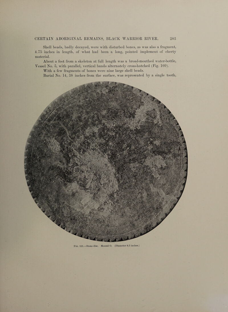 Shell beads, badly decayed, were with disturbed bones, as was also a fragment, 4.75 inches in length, of what had been a long, pointed implement of cherty material. About a foot from a skeleton at full length was a broad-mouthed water-bottle, Vessel No. 5, with parallel, vertical bands alternately cross-hatched (Fig. 109). With a few fragments of bones were nine large shell beads. o o Burial No. 14, 38 inches from the surface, was represented by a single tooth, Fig. 111.—Stone disc. Mound O. (Diameter 8.5 inches.)