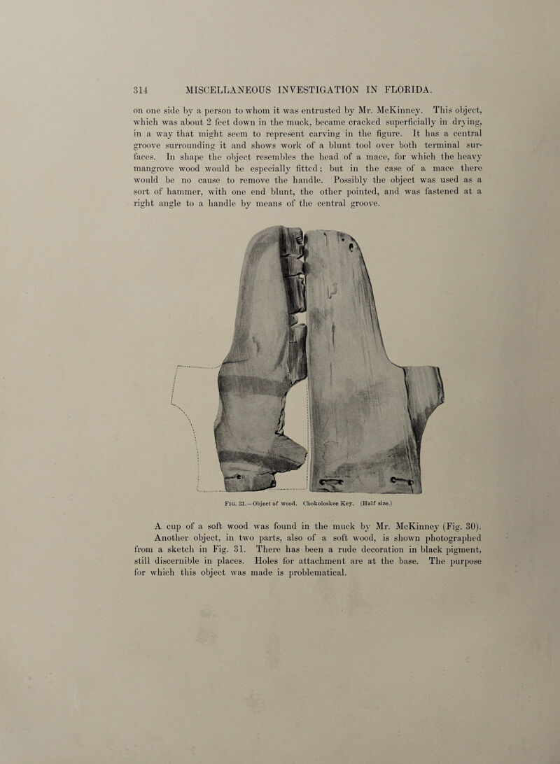 on one side by a person to whom it was entrusted by Mr. McKinney. This object, which was about 2 feet down in the muck, became cracked superficially in drying, in a way that might seem to represent carving in the figure. It has a central groove surrounding it and shows work of a blunt tool over bofli terminal sur¬ faces. In shape the object resembles the head of a mace, for which the heavy mangrove wood would be especially fitted; but in the case of a mace there would be no cause to remove the handle. Possibly the object was used as a sort of hammer, with one end blunt, the other pointed, and was fastened at a right angle to a handle by means of the central groove. Fig. 31. —Object of wood. Chokoloskee Key. (Half size.) A cup of a soft wood was found in the muck by Mr. McKinney (Fig. 30). Another object, in two parts, also of a soft wood, is shown photographed from a sketch in Fig. 31. There has been a rude decoration in black pigment, still discernible in places. Holes for attachment are at the base. The purpose for which this object was made is problematical.