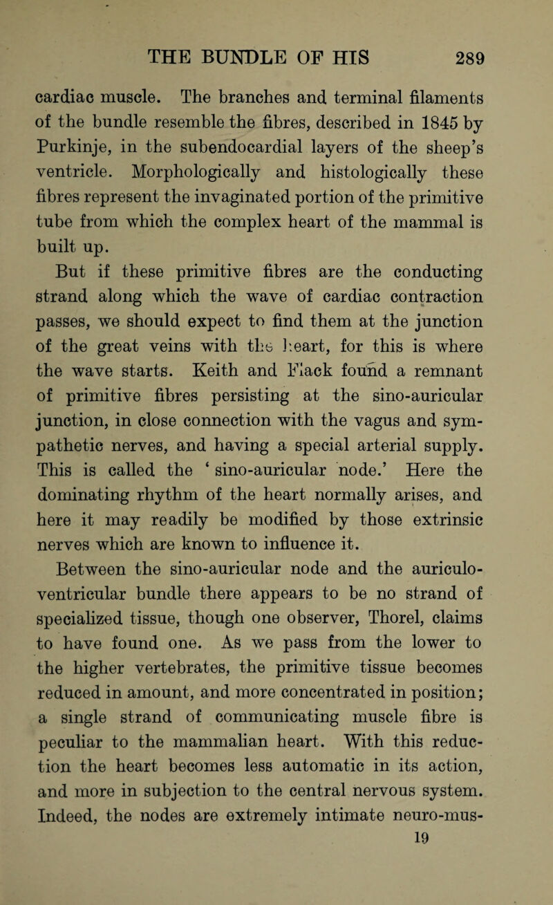 cardiac muscle. The branches and terminal filaments of the bundle resemble the fibres, described in 1845 by Purkinje, in the subendocardial layers of the sheep’s ventricle. Morphologically and histologically these fibres represent the invaginated portion of the primitive tube from which the complex heart of the mammal is built up. But if these primitive fibres are the conducting strand along which the wave of cardiac contraction passes, we should expect to find them at the junction of the great veins with the heart, for this is where the wave starts. Keith and Flack found a remnant of primitive fibres persisting at the sino-auricular junction, in close connection with the vagus and sym¬ pathetic nerves, and having a special arterial supply. This is called the ‘ sino-auricular node.’ Here the dominating rhythm of the heart normally arises, and here it may readily be modified by those extrinsic nerves which are known to influence it. Between the sino-auricular node and the auriculo- ventricular bundle there appears to be no strand of specialized tissue, though one observer, Thorel, claims to have found one. As we pass from the lower to the higher vertebrates, the primitive tissue becomes reduced in amount, and more concentrated in position; a single strand of communicating muscle fibre is peculiar to the mammalian heart. With this reduc¬ tion the heart becomes less automatic in its action, and more in subjection to the central nervous system. Indeed, the nodes are extremely intimate neuro-mus- 19