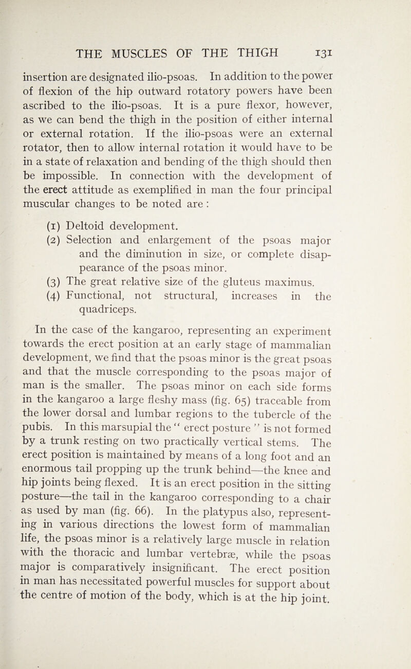 insertion are designated ilio-psoas. In addition to the power of flexion of the hip outward rotatory powers have been ascribed to the ilio-psoas. It is a pure flexor, however, as we can bend the thigh in the position of either internal or external rotation. If the ilio-psoas were an external rotator, then to allow internal rotation it would have to be in a state of relaxation and bending of the thigh should then be impossible. In connection with the development of the erect attitude as exemplified in man the four principal muscular changes to be noted are : (1) Deltoid development. (2) Selection and enlargement of the psoas major and the diminution in size, or complete disap¬ pearance of the psoas minor. (3) The great relative size of the gluteus maximus. (4) Functional, not structural, increases in the quadriceps. In the case of the kangaroo, representing an experiment towards the erect position at an early stage of mammalian development, we find that the psoas minor is the great psoas and that the muscle corresponding to the psoas major of man is the smaller. The psoas minor on each side forms in the kangaroo a large fleshy mass (fig. 65) traceable from the lower dorsal and lumbar regions to the tubercle of the pubis. In this marsupial the “ erect posture ” is not formed by a trunk resting on two practically vertical stems. The erect position is maintained by means of a long foot and an enormous tail propping up the trunk behind—the knee and hip joints being flexed. It is an erect position in the sitting posture—the tail in the kangaroo corresponding to a chair as used by man (fig. 66). In the platypus also, represent¬ ing in various directions the lowest form of mammalian life, the psoas minor is a relatively large muscle in relation with the thoracic and lumbar vertebrae, while the psoas major is comparatively insignificant. The erect position in man has necessitated powerful muscles for support about the centre of motion of the body, which is at the hip joint.