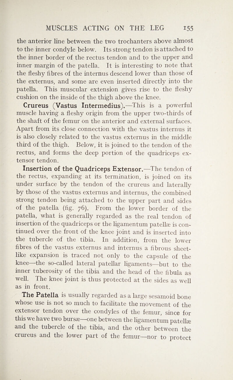 the anterior line between the two trochanters above almost to the inner condyle below. Its strong tendon is attached to the inner border of the rectus tendon and to the upper and inner margin of the patella. It is interesting to note that the fleshy fibres of the internus descend lower than those of the externus, and some are even inserted directly into the patella. This muscular extension gives rise to the fleshy cushion on the inside of the thigh above the knee. Crureus (Vastus Intermedius).—This is a powerful muscle having a fleshy origin from the upper two-thirds of the shaft of the femur on the anterior and external surfaces. Apart from its close connection with the vastus internus it is also closely related to the vastus externus in the middle third of the thigh. Below, it is joined to the tendon of the rectus, and forms the deep portion of the quadriceps ex¬ tensor tendon. Insertion of the Quadriceps Extensor.—The tendon of the rectus, expanding at its termination, is joined on its under surface by the tendon of the crureus and laterally by those of the vastus externus and internus, the combined strong tendon being attached to the upper part and sides of the patella (fig. 76). From the lower border of the patella, what is generally regarded as the real tendon of insertion of the quadriceps or the ligamentum patelke is con¬ tinued over the front of the knee joint and is inserted into the tubercle of the tibia. In addition, from the lower fibres of the vastus externus and internus a fibrous sheet¬ like expansion is traced not only to the capsule of the knee—-the so-called lateral patellar ligaments—but to the inner tuberosity of the tibia and the head of the fibula as well. The knee joint is thus protected at the sides as well as in front. The Patella is usually regarded as a large sesamoid bone whose use is not so much to facilitate the movement of the extensor tendon over the condyles of the femur, since for this we have two burs*—one between the ligamentum patelke and the tubercle of the tibia, and the other between the crureus and the lower part of the femur—nor to protect