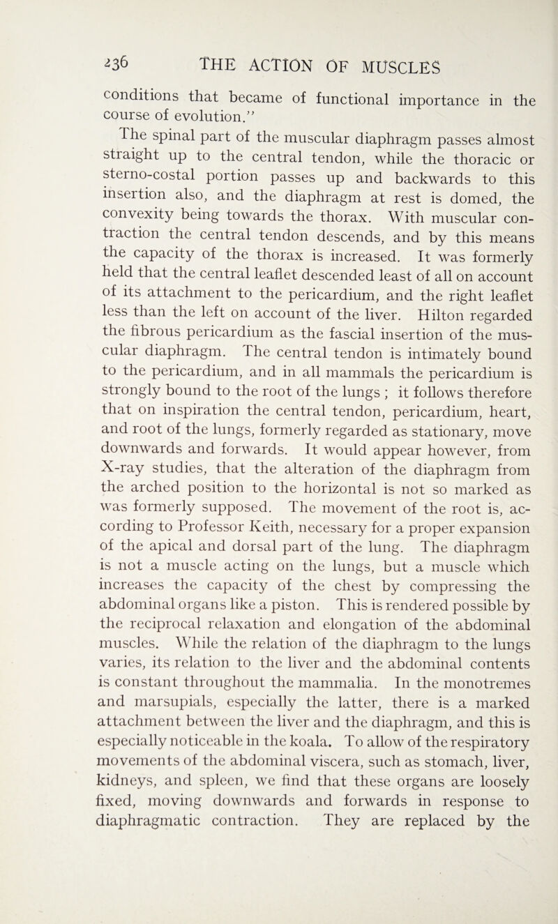 conditions that became of functional importance in the course of evolution A The spinal part of the muscular diaphragm passes almost straight up to the central tendon, while the thoracic or stei no-costal portion passes up and backwards to this insertion also, and the diaphragm at rest is domed, the convexity being towards the thorax. With muscular con¬ traction the central tendon descends, and by this means the capacity of the thorax is increased. It was formerly held that the central leaflet descended least of all on account of its attachment to the pericardium, and the right leaflet less than the left on account of the liver. Hilton regarded the fibrous pericardium as the fascial insertion of the mus¬ cular diaphragm. Ihe central tendon is intimately bound to the pericardium, and in all mammals the pericardium is strongly bound to the root of the lungs ; it follows therefore that on inspiration the central tendon, pericardium, heart, and root of the lungs, formerly regarded as stationary, move downwards and forwards. It would appear however, from X-ray studies, that the alteration of the diaphragm from the arched position to the horizontal is not so marked as was formerly supposed. The movement of the root is, ac¬ cording to Professor Keith, necessary for a proper expansion of the apical and dorsal part of the lung. The diaphragm is not a muscle acting on the lungs, but a muscle which increases the capacity of the chest by compressing the abdominal organs like a piston. This is rendered possible by the reciprocal relaxation and elongation of the abdominal muscles. While the relation of the diaphragm to the lungs varies, its relation to the liver and the abdominal contents is constant throughout the mammalia. In the monotremes and marsupials, especially the latter, there is a marked attachment between the liver and the diaphragm, and this is especially noticeable in the koala. To allow of the respiratory movements of the abdominal viscera, such as stomach, liver, kidneys, and spleen, we find that these organs are loosely fixed, moving downwards and forwards in response to diaphragmatic contraction. They are replaced by the