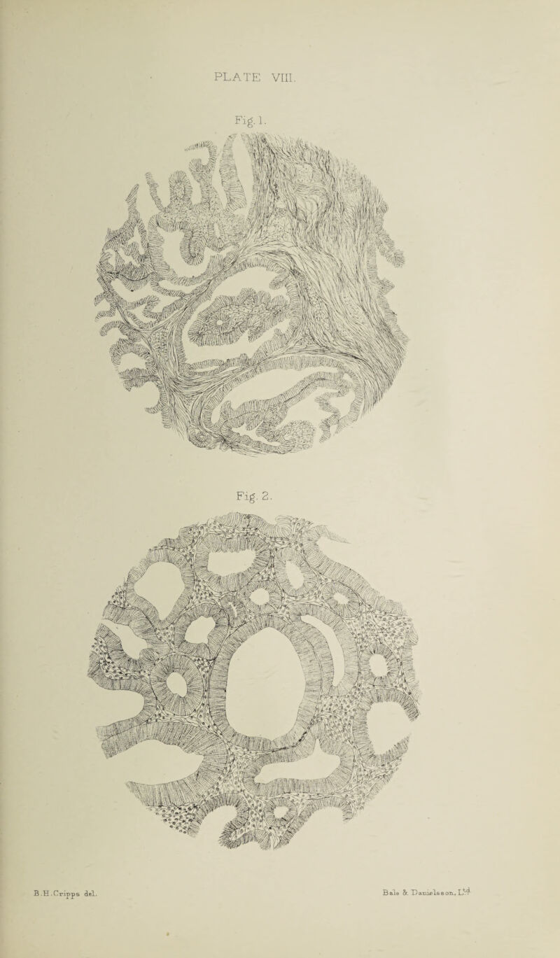 rrpps del. B ale & T) axnfils 8 on, Fig-1. Fig. 2.