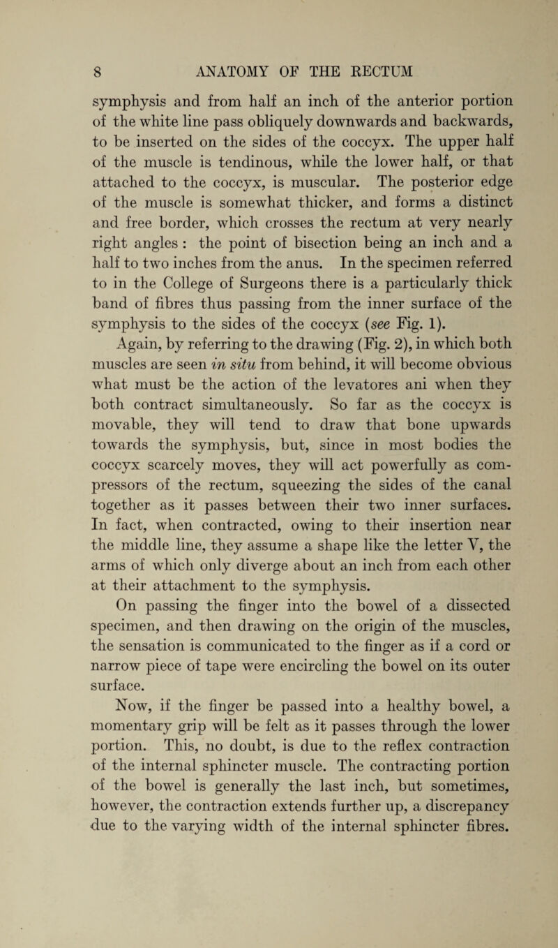 symphysis and from half an inch of the anterior portion of the white line pass obliquely downwards and backwards, to be inserted on the sides of the coccyx. The upper half of the muscle is tendinous, while the lower half, or that attached to the coccyx, is muscular. The posterior edge of the muscle is somewhat thicker, and forms a distinct and free border, which crosses the rectum at very nearly right angles : the point of bisection being an inch and a half to two inches from the anus. In the specimen referred to in the College of Surgeons there is a particularly thick band of fibres thus passing from the inner surface of the symphysis to the sides of the coccyx (see Fig. 1). Again, by referring to the drawing (Fig. 2), in which both muscles are seen in situ from behind, it will become obvious what must be the action of the levatores ani when they both contract simultaneously. So far as the coccyx is movable, they will tend to draw that bone upwards towards the symphysis, but, since in most bodies the coccyx scarcely moves, they will act powerfully as com¬ pressors of the rectum, squeezing the sides of the canal together as it passes between their two inner surfaces. In fact, when contracted, owing to their insertion near the middle line, they assume a shape like the letter Y, the arms of which only diverge about an inch from each other at their attachment to the symphysis. On passing the finger into the bowel of a dissected specimen, and then drawing on the origin of the muscles, the sensation is communicated to the finger as if a cord or narrow piece of tape were encircling the bowel on its outer surface. Now, if the finger be passed into a healthy bowel, a momentary grip will be felt as it passes through the lower portion. This, no doubt, is due to the reflex contraction of the internal sphincter muscle. The contracting portion of the bowel is generally the last inch, but sometimes, however, the contraction extends further up, a discrepancy due to the varying width of the internal sphincter fibres.