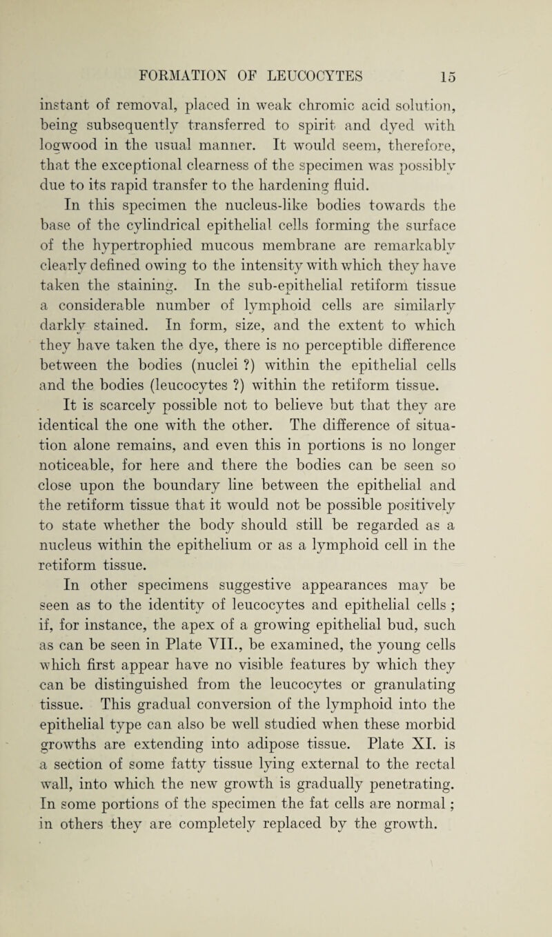 instant of removal, placed in weak chromic acid solution, being subsequently transferred to spirit and dyed with logwood in the usual manner. It would seem, therefore, that the exceptional clearness of the specimen was possibly due to its rapid transfer to the hardening fluid. In this specimen the nucleus-like bodies towards the base of the cylindrical epithelial cells forming the surface of the hypertrophied mucous membrane are remarkably clearly defined owing to the intensity with which they have taken the staining. In the sub-epithelial retiform tissue 'TP a considerable number of lymphoid cells are similarly darklv stained. In form, size, and the extent to which they have taken the dye, there is no perceptible difference between the bodies (nuclei ?) within the epithelial cells and the bodies (leucocytes ?) within the retiform tissue. It is scarcely possible not to believe but that they are identical the one with the other. The difference of situa¬ tion alone remains, and even this in portions is no longer noticeable, for here and there the bodies can be seen so close upon the boundary line between the epithelial and the retiform tissue that it would not be possible positively to state whether the body should still be regarded as a nucleus within the epithelium or as a lymphoid cell in the retiform tissue. In other specimens suggestive appearances may be seen as to the identity of leucocytes and epithelial cells ; if, for instance, the apex of a growing epithelial bud, such as can be seen in Plate VII., be examined, the young cells which first appear have no visible features by which they can be distinguished from the leucocytes or granulating tissue. This gradual conversion of the lymphoid into the epithelial type can also be well studied when these morbid growths are extending into adipose tissue. Plate XI. is a section of some fatty tissue lying external to the rectal wall, into which the new growth is gradually penetrating. In some portions of the specimen the fat cells are normal; in others they are completely replaced by the growth.