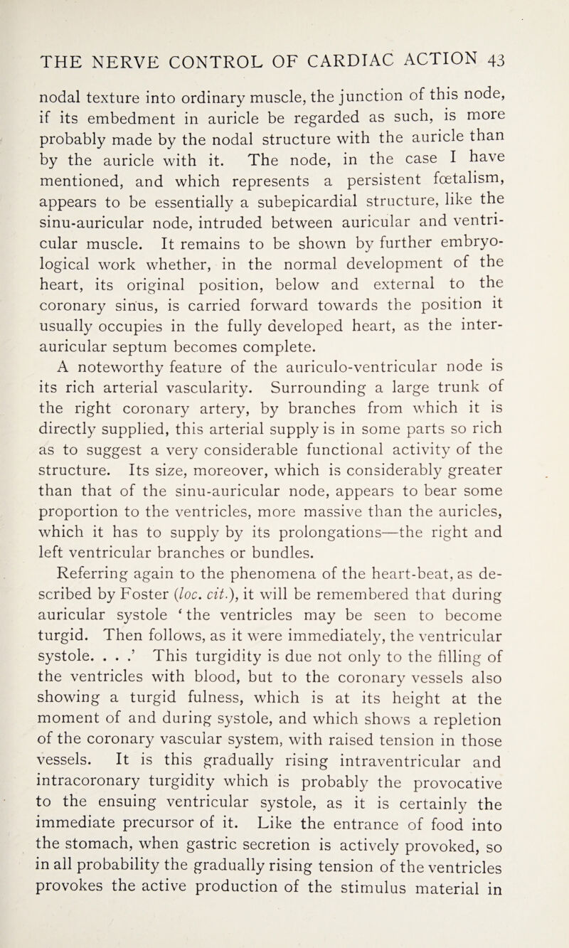 nodal texture into ordinary muscle, the junction of this node, if its embedment in auricle be regarded as such, is more probably made by the nodal structure with the auricle than by the auricle with it. The node, in the case I have mentioned, and which represents a persistent fcetalism, appears to be essentially a subepicardial structure, like the sinu-auricular node, intruded between auricular and ventri¬ cular muscle. It remains to be shown by further embryo- logical work whether, in the normal development of the heart, its original position, below and external to the coronary sinus, is carried forward towards the position it usually occupies in the fully developed heart, as the inter- auricular septum becomes complete. A noteworthy feature of the auriculo-ventricular node is its rich arterial vascularity. Surrounding a large trunk of the right coronary artery, by branches from which it is directly supplied, this arterial supply is in some parts so rich as to suggest a very considerable functional activity of the structure. Its size, moreover, which is considerably greater than that of the sinu-auricular node, appears to bear some proportion to the ventricles, more massive than the auricles, which it has to supply by its prolongations—the right and left ventricular branches or bundles. Referring again to the phenomena of the heart-beat, as de¬ scribed by Foster (loc. cit.), it will be remembered that during auricular systole ‘ the ventricles may be seen to become turgid. Then follows, as it were immediately, the ventricular systole. . . .’ This turgidity is due not only to the filling of the ventricles with blood, but to the coronary vessels also showing a turgid fulness, which is at its height at the moment of and during systole, and which shows a repletion of the coronary vascular system, with raised tension in those vessels. It is this gradually rising intraventricular and intracoronary turgidity which is probably the provocative to the ensuing ventricular systole, as it is certainly the immediate precursor of it. Like the entrance of food into the stomach, when gastric secretion is actively provoked, so in all probability the gradually rising tension of the ventricles provokes the active production of the stimulus material in