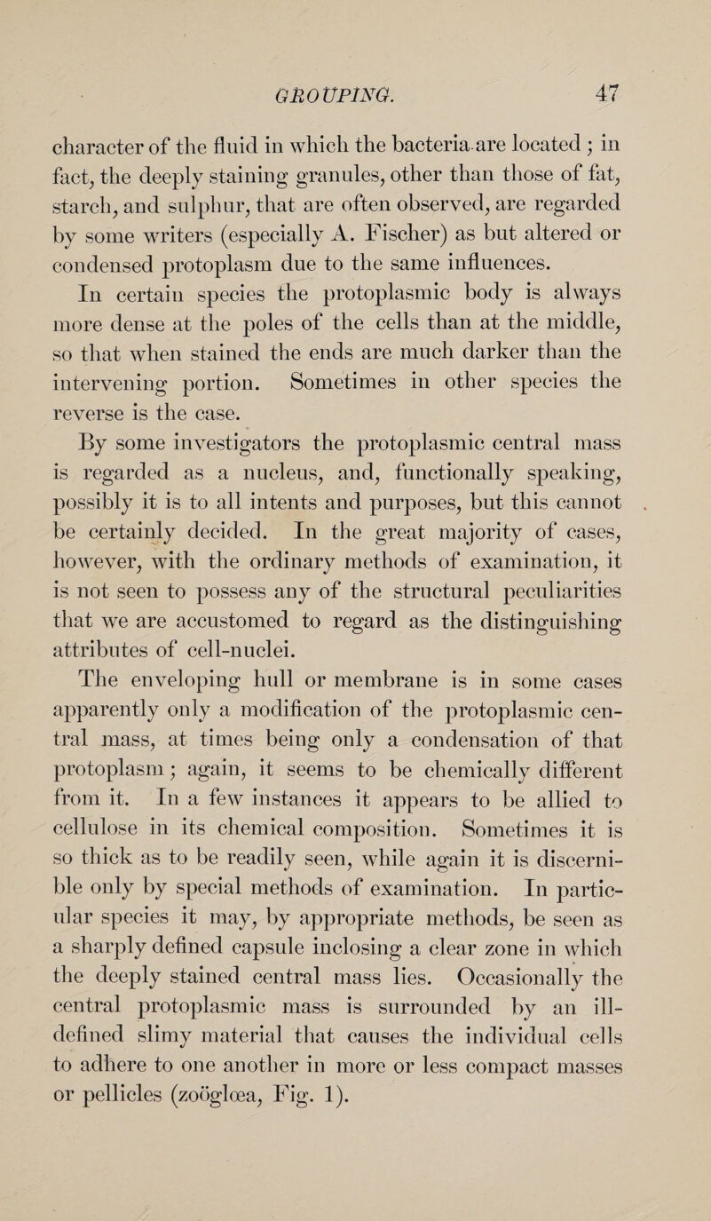 character of the fluid in which the bacteriaare located ; in fact, the deeply staining granules, other than those of fat, starch, and sulphur, that are often observed, are regarded by some writers (especially A. Fischer) as but altered or condensed protoplasm due to the same influences. In certain species the protoplasmic body is always more dense at the poles of the cells than at the middle, so that when stained the ends are much darker than the intervening portion. Sometimes in other species the reverse is the case. By some investigators the protoplasmic central mass is regarded as a nucleus, and, functionally speaking, possibly it is to all intents and purposes, but this cannot be certainly decided. In the great majority of cases, however, with the ordinary methods of examination, it is not seen to possess any of the structural peculiarities that we are accustomed to regard as the distinguishing attributes of cell-nuclei. The enveloping hull or membrane is in some cases apparently only a modification of the protoplasmic cen¬ tral mass, at times being only a condensation of that protoplasm; again, it seems to be chemically different from it. In a few instances it appears to be allied to cellulose in its chemical composition. Sometimes it is so thick as to be readily seen, while again it is discerni¬ ble only by special methods of examination. In partic¬ ular species it may, by appropriate methods, be seen as a sharply defined capsule inclosing a clear zone in which the deeply stained central mass lies. Occasionally the central protoplasmic mass is surrounded by an ill- defined slimy material that causes the individual cells to adhere to one another in more or less compact masses or pellicles (zoogloea, Fig. 1).