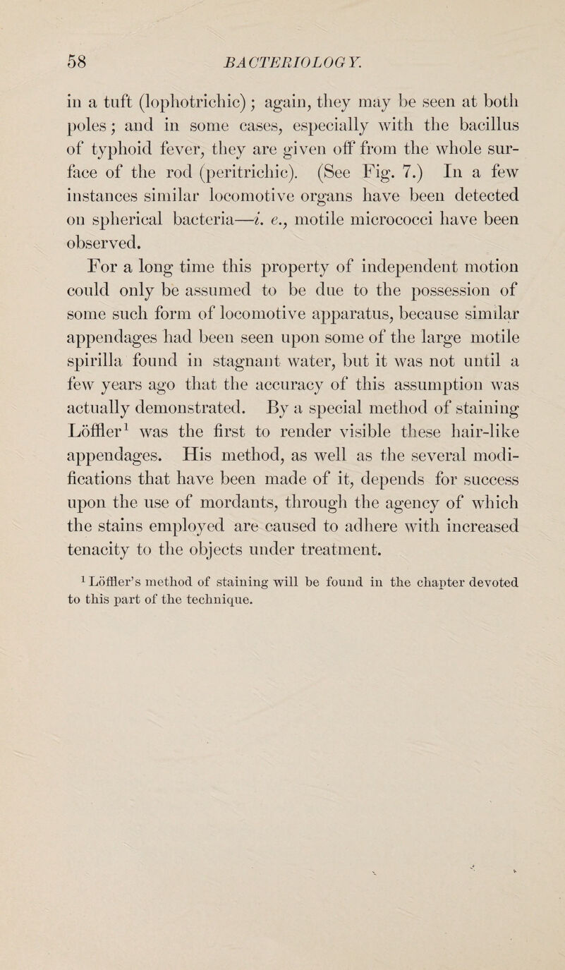 in a tuft (lophotrichic); again, they may be seen at both poles; and in some cases, especially with the bacillus of typhoid fever, they are given off from the whole sur¬ face of the rod (peritrichic). (See Fig. 7.) In a few instances similar locomotive organs have been detected on spherical bacteria—i. e., motile micrococci have been observed. For a long time this property of independent motion could only be assumed to be due to the possession of some such form of locomotive apparatus, because similar appendages had been seen upon some of the large motile spirilla found in stagnant water, but it was not until a few years ago that the accuracy of this assumption was actually demonstrated. By a special method of staining Loftier1 was the first to render visible these hair-like appendages. His method, as well as the several modi¬ fications that have been made of it, depends for success upon the use of mordants, through the agency of which the stains employed are caused to adhere with increased tenacity to the objects under treatment. 1 Loffler’s method of staining will be found in the chapter devoted to this part of the technique.