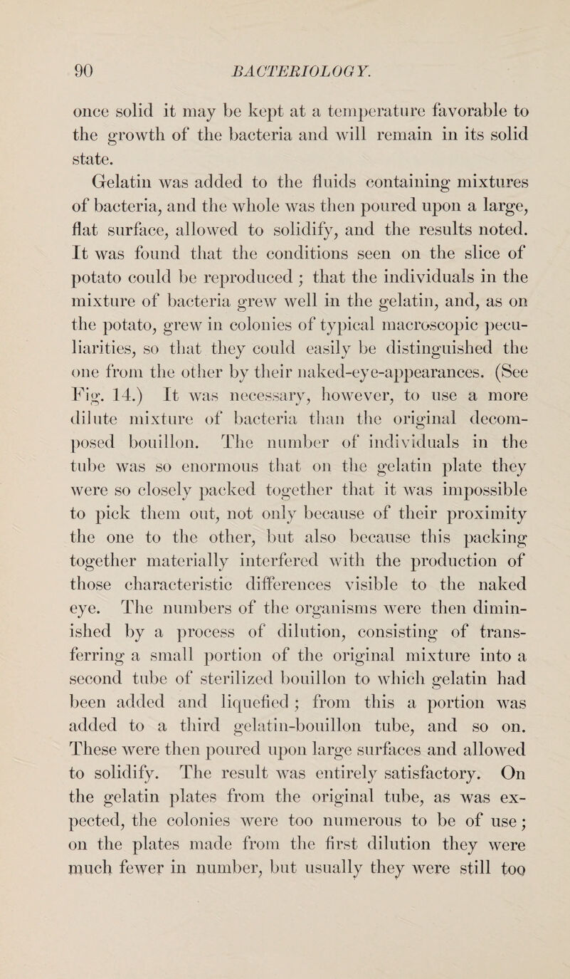 once solid it may be kept at a temperature favorable to the growth of the bacteria and will remain in its solid state. Gelatin was added to the fluids containing mixtures of bacteria, and the whole was then poured upon a large, flat surface, allowed to solidify, and the results noted. It was found that the conditions seen on the slice of potato could be reproduced ; that the individuals in the mixture of bacteria grew well in the gelatin, and, as on the potato, grew in colonies of typical macroscopic pecu¬ liarities, so that they could easily be distinguished the one from the other by their naked-eye-appearances. (See Fig. 14.) It was necessary, however, to use a more dilute mixture of bacteria than the original decom¬ posed bouillon. The number of individuals in the tube was so enormous that on the gelatin plate they were so closely packed together that it was impossible to pick them out, not only because of their proximity the one to the other, but also because this packing together materially interfered with the production of those characteristic differences visible to the naked eye. The numbers of the organisms were then dimin¬ ished by a process of dilution, consisting of trans¬ ferring a small portion of the original mixture into a second tube of sterilized bouillon to which gelatin had been added and liquefied ; from this a portion was added to a third gelatin-bouillon tube, and so on. These were then poured upon large surfaces and allowed to solidify. The result was entirely satisfactory. On the gelatin plates from the original tube, as was ex¬ pected, the colonies were too numerous to be of use; on the plates made from the first dilution they were much fewer in number, but usually they were still too