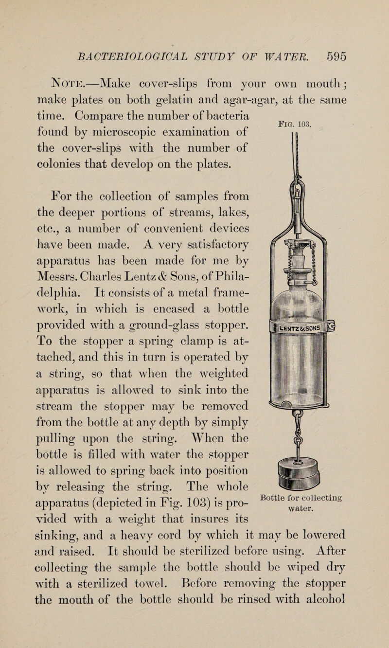 Fig. 103. Note.—Make cover-slips from your own month; make plates on both gelatin and agar-agar, at the same time. Compare the number of bacteria found by microscopic examination of the cover-slips with the number of colonies that develop on the plates. For the collection of samples from the deeper portions of streams, lakes, etc., a number of convenient devices have been made. A very satisfactory apparatus has been made for me by Messrs. Charles Lentz & Sons, of Phila¬ delphia. It consists of a metal frame¬ work, in which is encased a bottle provided with a ground-glass stopper. To the stopper a spring clamp is at¬ tached, and this in turn is operated by a string, so that when the weighted SENTZSiSONS apparatus is allowed to sink into the stream the stopper may be removed from the bottle at any depth by simply pulling upon the string. When the bottle is filled with water the stopper is allowed to spring back into position by releasing the string. The whole apparatus (depicted in Fig. 103) is pro¬ vided with a weight that insures its sinking, and a heavy cord by which it may be lowered and raised. It should be sterilized before using. After collecting the sample the bottle should be wiped dry with a sterilized towel. Before removing the stopper the mouth of the bottle should be rinsed with alcohol Bottle for collecting water.