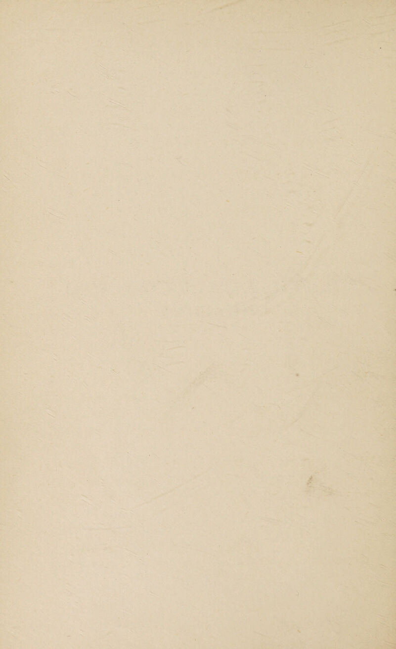 '