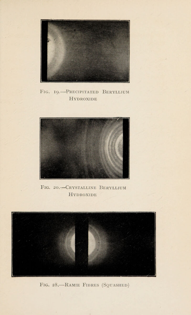 Fig. 19.—-Precipitated Beryllium Hydroxide Fig. 20.—Crystalline Beryllium Hydroxide Fig. 28.—Ramie Fibres (Squashed)