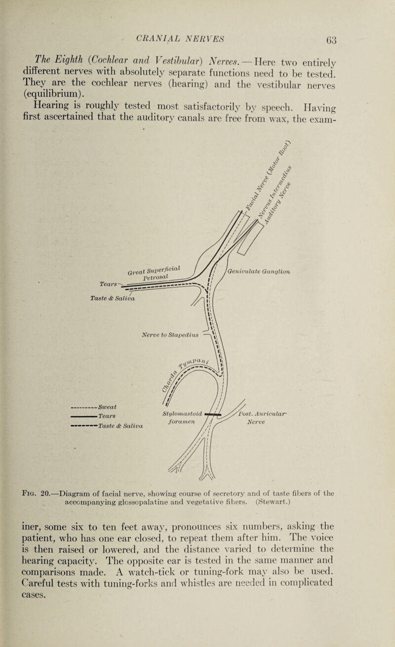 The Eighth (Cochlear and Vestibular) Nerves. — Here two entirely different nerves with absolutely separate functions need to be tested. They are the cochlear nerves (hearing) and the vestibular nerves (equilibrium). Hearing is roughly tested most satisfactorily by speech. Having first ascertained that the auditory canals are free from wax, the exam- Fig. 20.—Diagram of facial nerve, showing course of secretory and of taste fibers of the accompanying glcssopalatine and vegetative fibers. (Stewart.) iner, some six to ten feet away, pronounces six numbers, asking the patient, who has one ear closed, to repeat them after him. The voice is then raised or lowered, and the distance varied to determine the hearing capacity. The opposite ear is tested in the same manner and comparisons made. A watch-tick or tuning-fork may also be used. Careful tests with tuning-forks and whistles are needed in complicated cases.