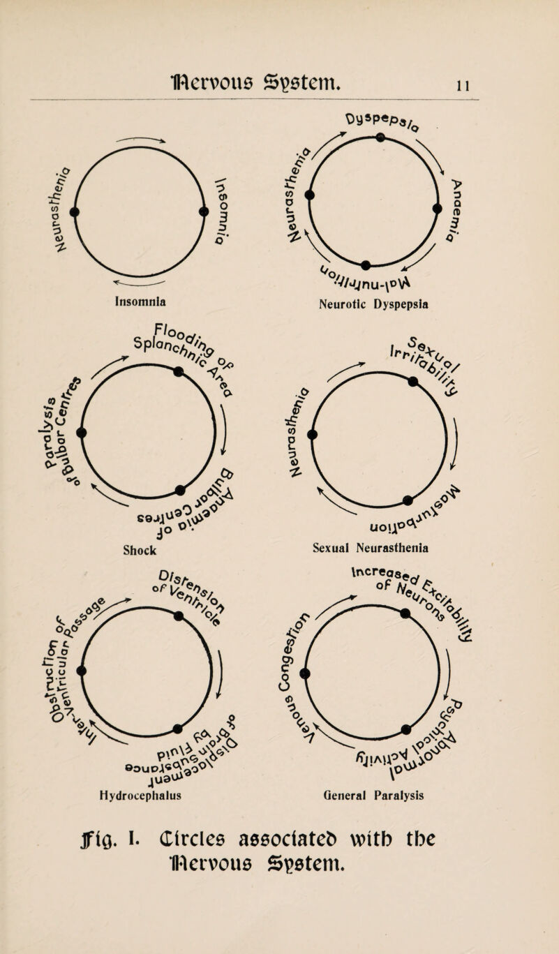 fig. I. Circles associate?) with tbe IRervous System.