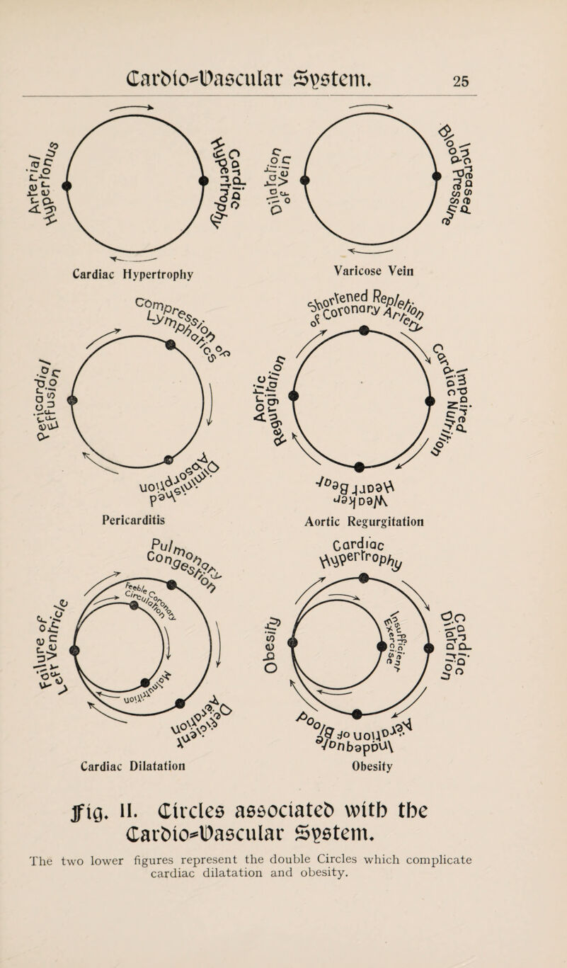 u°'A^v»N* paA9' Pericarditis Varicose Vein ^Covonar,y4/v^ ^3>jDa/K Aortic Regurgitation Cardiac ^erfrop^ |2 ^r3 Q Cl. ?o- jftq. ll. Circles associated with tbe Cardiovascular System. The two lower figures represent the double Circles which complicate cardiac dilatation and obesity.