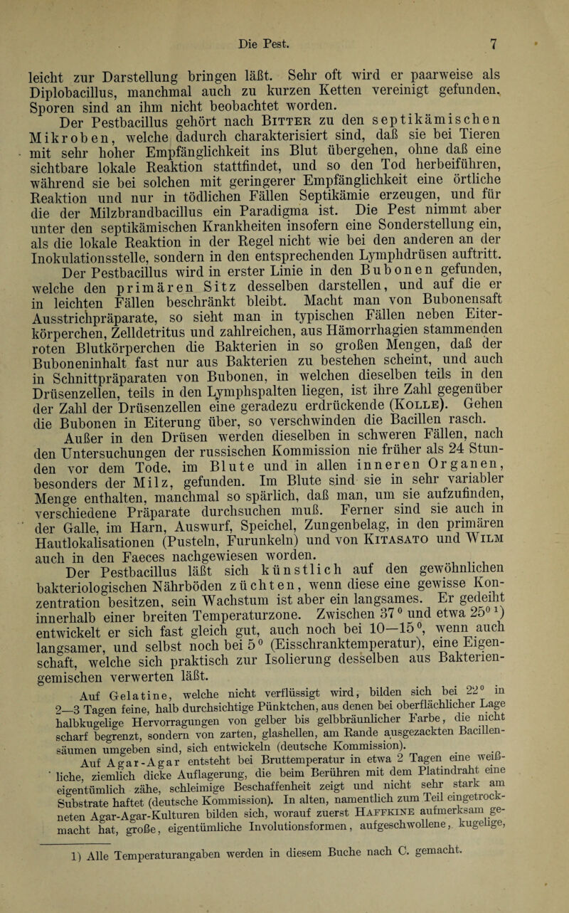 leicht zur Darstellung bringen läßt. Sehr oft wird er paarweise als Diplobacillus, manchmal auch zu kurzen Ketten vereinigt gefunden. Sporen sind an ihm nicht beobachtet worden. Der Pestbacillus gehört nach Bitter zu den septikämi sehen Mikroben, welche dadurch charakterisiert sind, daß sie bei Tieren mit sehr hoher Empfänglichkeit ins Blut übergehen, ohne daß eine sichtbare lokale Reaktion stattfindet, und so den Tod herbeiführen, während sie bei solchen mit geringerer Empfänglichkeit eine örtliche Reaktion und nur in tödlichen Fällen Septikämie erzeugen, und für die der Milzbrandbacillus ein Paradigma ist. Die Pest nimmt aber unter den septikämischen Krankheiten insofern eine Sonderstellung ein, als die lokale Reaktion in der Regel nicht wie bei den anderen an der Inokulationsstelle, sondern in den entsprechenden Lymphdrüsen auftritt. Der Pestbacillus wird in erster Linie in den Bubonen gefunden, welche den primären Sitz desselben darstellen, und auf die er in leichten Fällen beschränkt bleibt. Macht man von Bubonensaft Ausstrichpräparate, so sieht man in typischen Fällen neben Eiter¬ körperchen, Zelldetritus und zahlreichen, aus Hämorrhagien stammenden roten Blutkörperchen die Bakterien in so großen Mengen, daß der Buboneninhalt fast nur aus Bakterien zu bestehen scheint, und auch in Schnittpräparaten von Bubonen, in welchen dieselben teils in den Drüsenzellen, teils in den Lymphspalten liegen, ist ihre Zahl gegenüber der Zahl der Drüsenzellen eine geradezu erdrückende (Kolle). Gehen die Bubonen in Eiterung über, so verschwinden die Bacillen rasch. Außer in den Drüsen werden dieselben in schweren Fällen, nach den Untersuchungen der russischen Kommission nie früher als 24 Stun¬ den vor dem Tode, im Blute und in allen inneren Organen, besonders der Milz, gefunden. Im Blute sind sie in sehi variabler Menge enthalten, manchmal so spärlich, daß man, um sie aufzufinden, verschiedene Präparate durchsuchen muß. Ferner sind sie auch m der Galle, im Harn, Auswurf, Speichel, Zungenbelag, in den primären Hautlokalisationen (Pusteln, Furunkeln) und von Kitasato und Wilm auch in den Faeces nachgewiesen worden. Der Pestbacillus läßt sich künstlich auf den gewöhnlichen bakteriologischen Nährböden züchten, wenn diese eine gewisse Kon¬ zentration besitzen, sein Wachstum ist aber ein langsames. Er gedeiht innerhalb einer breiten Temperaturzone. Zwischen 37° und etwa 25° O entwickelt er sich fast gleich gut, auch noch bei 10 15®, wenn auch langsamer, und selbst noch bei 5° (Eisschranktemperatur), eine Eigen¬ schaft, welche sich praktisch zur Isolierung desselben aus Bakterien¬ gemischen verwerten läßt. Auf Gelatine, welche nicht verflüssigt wird, bilden sich bei 22° in 2—3 Tagen feine, halb durchsichtige Pünktchen, aus denen bei oberflächlicher Lage halbkugelige Hervorragungen von gelber bis gelbbräunlicher Farbe, die nicht scharf begrenzt, sondern von zarten, glashellen, am Rande ausgezackten Bacillen- säumen umgeben sind, sich entwickeln (deutsche Kommission). __ Auf Agar-Agar entsteht bei Bruttemperatur in etwa 2 Tagen eine weiß- * liehe, ziemlich dicke Auflagerung, die beim Berühren mit dem Platindraht eine eigentümlich zähe, schleimige Beschaffenheit zeigt und nicht sehr stark am Substrate haftet (deutsche Kommission). In alten, namentlich zum Teil emgetroc neten Agar-Agar-Kulturen bilden sich, worauf zuerst Haffkine aufmerksam ge¬ macht hat, große, eigentümliche Involutionsformen, aufgeschwollene, kugeüge, 1) Alle Temperaturangaben werden in diesem Buche nach C. gemacht.