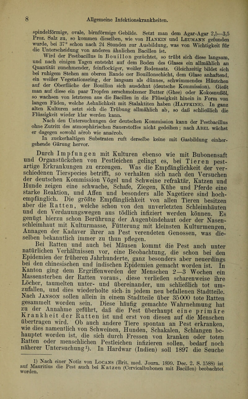 spindelförmige, ovale, bimförmige Gebilde. Setzt man dem Agar-Agar 2,5—3,5 Proz. Salz zu, so kommen dieselben, wie von Hankest und Leumann gefunden wurde, bei 37° schon nach 24 Stunden zur Ausbildung, was von Wichtigkeit für die Unterscheidung von anderen ähnlichen Bacillen ist. Wird der Pestbacillus in Bouillon gezüchtet, so trübt sich diese langsam, und nach einigen Tagen entsteht auf dem Boden des Glases ein allmählich an Quantität zunehmender, feinflockiger, weißer Bodensatz. Gleichzeitig bildet sich bei ruhigem Stehen am oberen Bande cter Bouillonschicht, dem Glase anhaftend, ein weißer Vegetationsring, der langsam als dünnes, schwimmendes Häutchen auf der Oberfläche der Bouillon sich ausdehnt (deutsche Kommission). Gießt man auf diese ein paar Tropfen zerschmolzener Butter (Ghee) oder Kokosnußöl, so wachsen von letzteren aus die Bacillen in die Flüssigkeit hinein in Form von langen Fäden, welche Aehnlichkeit mit Stalaktiten haben (Haffkuste). In ganz alten Kulturen setzt sich die Trübung allmählich ab, so daß schließlich die Flüssigkeit wieder klar werden kann. Nach den Untersuchungen der deutschen Kommission kann der Pestbacillus ohne Zutritt des atmosphärischen Sauerstoffes nicht gedeihen; nach Abel wächst er dagegen sowohl aerob wie anaerob. In zuckerhaltigen Substraten ruft derselbe keine mit Gasbildung einher¬ gehende Gärung hervor. Durch Impfungen mit Kulturen ebenso wie mit Bubonensaft und Organstückchen von Pestleichen gelingt es, bei Tieren pest¬ artige Erkrankungen zu erzeugen. Was die Empfänglichkeit der ver¬ schiedenen Tierspecies betrifft, so verhalten sich nach den Versuchen der deutschen Kommission Vögel und Schweine refraktär, Katzen und Hunde zeigen eine schwache, Schafe, Ziegen, Kühe und Pferde eine starke Reaktion, und Affen und besonders alle Nagetiere sind hoch¬ empfänglich. Die größte Empfänglichkeit von allen Tieren besitzen aber die Ratten, welche schon von den unverletzten Schleimhäuten und den Verdauungswegen aus tödlich infiziert werden können. Es genügt hierzu schon Berührung der Augenbindehaut oder der Nasen¬ schleimhaut mit Kulturmasse, Fütterung mit kleinsten Kulturmengen, Annagen der Kadaver ihrer an Pest verendeten Genossen, was die¬ selben bekanntlich immer zu thun pflegen. Bei Ratten und auch bei Mäusen kommt die Pest auch unter natürlichen Verhältnissen vor, eine Beobachtung, die schon bei den Epidemien der früheren Jahrhunderte, ganz besonders aber neuerdings bei den chinesischen und indischen Epidemien gemacht worden ist. In Kanton ging dem Ergriffenwerden der Menschen 2—3 Wochen ein Massensterben der Ratten voraus, diese verließen scharenweise ihre Löcher, taumelten unter- und übereinander, um schließlich tot um¬ zufallen, und dies wiederholte sich, in jedem neu befallenen Stadtteile. Nach Janson sollen allein in einem Stadtteile über 35000 tote Ratten gesammelt worden sein. Diese häufig gemachte Wahrnehmung hat zu der Annahme geführt, daß die Pest überhaupt eine primäre Krankheit der Ratten ist und erst von diesen auf die Menschen übertragen wird. Ob auch andere Tiere spontan an Pest erkranken, wie dies namentlich von Schweinen, Hunden, Schakalen, Schlangen be¬ hauptet worden ist, die sich durch Fressen von kranken oder toten Ratten oder menschlichen Pestleichen infizieren sollen, bedarf noch näherer Untersuchung1). In Hardwar (Indien) soll 1897 die Seuche . J) N?.ch einer N0tiz von Locans (Brit. med. Journ. 1899. Dec. 2. S. 1588) ist au Mauritius die Pest auch bei Katzen (Cervicalbubonen mit Bacillen) beobachtet