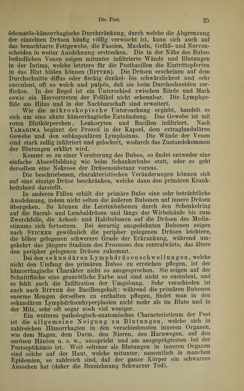 i ödematös-hämorrhagisclie Durchtränkung, durch welche die Abgrenzung der einzelnen Drüsen häufig völlig verwischt ist, kann sich auch auf das benachbarte Fettgewebe, die Fascien, Muskeln, Gefäß- und Nerven¬ scheiden in weiter Ausdehnung erstrecken. Die in der Nähe des Bubos befindlichen Venen zeigen mitunter infiltrierte Wände und Blutungen in der Intima, welche letztere für die Pestbacillen die Eintrittspforten in das Blut bilden können (Bitter). Die Drüsen erscheinen auf dem Durchschnitte diffus oder fleckig dunkel- bis schwärzlichrot und sehr succulent, oft so weich und pulpös, daß sie beim Durchschneiden zer¬ fließen. In der Regel ist ein Unterschied zwischen Rinde und Mark sowie ein Hervortreten der Follikel nicht erkennbar. Die Lymphge¬ fäße am Hilus und in der Nachbarschaft sind erweitert. Wie die mikroskopische Untersuchung ergiebt, handelt es sich um eine akute hämorrhagische Entzündung. Das Gewebe ist mit roten Blutkörperchen, Leukocyten und Bacillen infiltriert. Nach Yamagiwa beginnt der Prozeß in der Kapsel, dem extraglandulären Gewebe und den subkapsulären Lymphsinus. Die Wände der Venen sind stark zeitig infiltriert und gelockert, wodurch das Zustandekommen der Blutungen erklärt wird. Kommt es zu einer Vereiterung des Bubos, so findet entweder eine einfache Absceßbildung wie beim Schankerbubo statt, oder es geht derselben eine Nekrose der Drüsensubstanz voraus. Die beschriebenen, charakteristischen Veränderungen können sich auf eine einzige Drüse beschränken, welche dann den primären Krank¬ heitsherd darstellt. In anderen Fällen erhält der primäre Bubo eine sehr beträchtliche Ausdehnung, indem nicht selten die äußeren Bubonen anf innere Drüsen übergehen. So können die Leistenbubonen durch den Schenkelring auf die Sacral- und Lumbaldrüsen und längs der Wirbelsäule bis zum Zwerchfelle, die Achsel- und Halsbubonen auf die Drüsen des Media¬ stinums sich fortsetzen. Bei derartig ausgedehnten Bubonen zeigen nach Sticker gewöhnlich die peripher gelegenen Drüsen leichtere, die höher gelegenen schwerere Grade der Erkrankung, während um¬ gekehrt das jüngere Stadium des Prozesses den centralwärts, das ältere den peripher gelegenen Drüsen zukommt. Bei den sekundären Lymphdrüsen Schwellungen, welche nicht den Umfang des primären Bubos zu erreichen pflegen, ist der hämorrhagische Charakter nicht so ausgesprochen. Sie zeigen auf der Schnittfläche eine graurötliche Farbe und sind nicht so succulent, und es fehlt auch die Infiltration der Umgebung. Sehr verschieden ist auch nach Bitter der Bacillengehalt: während die primären Bubonen enorme Mengen derselben zu enthalten pflegen, findet man in den sekundären Lymphdrüsenhyperplasien nicht mehr als im Blute und in der Milz, sehr oft sogar noch viel weniger. Ein weiteres pathologisch-anatomisches Characteristicum der Pest ist die allgemeine Neigung zu Blutungen, welche sich in zahlreichen Hämorrhagien in den verschiedensten inneren Organen, wie dem Magen, dem Darm, den Nieren, den Harnwegen, auf den serösen Häuten u. s. w., ausspricht und am ausgeprägtesten bei der Pestseptikämie ist. Weit seltener als Blutungen in inneren Organen sind solche auf der Haut, welche mitunter, namentlich in manchen Epidemien, so zahlreich sind, daß der ganze Körper ein schwarzes Aussehen hat (daher die Bezeichnung Schwarzer Tod).