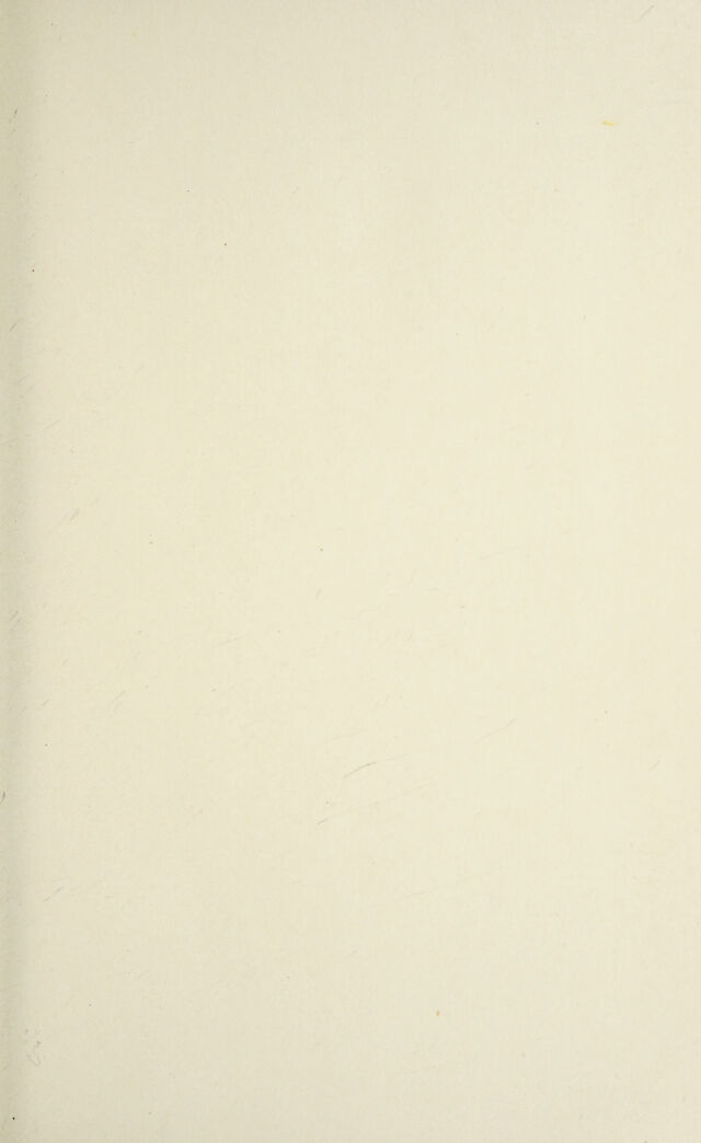 digitised image 3