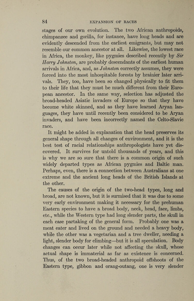 stages of our own evolution. The two African anthropoids, chimpanzee and gorilla, for instance, have long heads and are evidently descended from the earliest emigrants, but may not resemble our common ancestor at all. Likewise, the lowest race in Africa, the monkey, like pygmies described recently by Sir Harry Johnston, are probably descendants of the earliest human arrivals in Africa, and, as Johnston correctly assumes, they were forced into the most inhospitable forests by brainier later arri¬ vals. They, too, have been so changed physically to fit them to their life that they must be much different from their Euro¬ pean ancestor. In the same way, selection has adjusted the broad-headed Asiatic invaders of Europe so that they have become white skinned, and as they have learned Aryan lan¬ guages, they have until recently been considered to be Aryan invaders, and have been incorrectly named the Celto-Slavic race. It might be added in explanation that the head preserves its general shape through all changes of environment, and it is the best test of racial relationships anthropologists have yet dis¬ covered. It survives for untold thousands of years, and this is why we are so sure that there is a common origin of such widely departed types as African pygmies and Baltic man. Perhaps, even, there is a connection between Australians at one extreme and the ancient long heads of the British Islands at the other. The causes of the origin of the two-head types, long and broad, are not known, but it is surmised that it was due to some very early environment making it necessary for the prehuman Eastern species to have a broad body, neck, head, face, limbs, etc., while the Western type had long slender parts, the skull in each case partaking of the general form. Probably one was a meat eater and lived on the ground and needed a heavy body, while the other was a vegetarian and a tree dweller, needing a light, slender body for climbing—but it is all speculation. Body changes can occur later while not affecting the skull, whose actual shape is immaterial as far as existence is concerned. Thus, of the two broad-headed anthropoid offshoots of the Eastern type, gibbon and orang-outang, one is very slender
