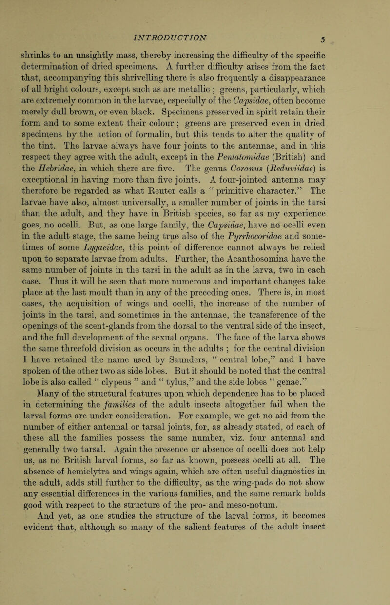 shrinks to an unsightly mass, thereby increasing the difficulty of the specific determination of dried specimens. A further difficulty arises from the fact that, accompanying this shrivelling there is also frequently a disappearance of all bright colours, except such as are metallic ; greens, particularly, which are extremely common in the larvae, especially of the Capsidae, often become merely dull brown, or even black. Specimens preserved in spirit retain their form and to some extent their colour ; greens are preserved even in dried specimens by the action of formalin, but this tends to alter the quality of the tint. The larvae always have four joints to the antennae, and in this respect they agree with the adult, except in the Pentatomidae (British) and the Hebridae, in which there are five. The genus Cor anus (Reduviidae) is exceptional in having more than five joints. A four-jointed antenna may therefore be regarded as what Reuter calls a “ primitive character.” The larvae have also, almost universally, a smaller number of joints in the tarsi than the adult, and they have in British species, so far as my experience goes, no ocelli. But, as one large family, the Capsidae, have no ocelli even in the adult stage, the same being true also of the Pyrrhocoridae and some¬ times of some jLygaeidae, this point of difference cannot always be relied upon to separate larvae from adults. Further, the Acanthosomina have the same number of joints in the tarsi in the adult as in the larva, two in each case. Thus it will be seen that more numerous and important changes take place at the last moult than in any of the preceding ones. There is, in most cases, the acquisition of wings and ocelli, the increase of the number of joints in the tarsi, and sometimes in the antennae, the transference of the openings of the scent-glands from the dorsal to the ventral side of the insect, and the full development of the sexual organs. The face of the larva shows the same threefold division as occurs in the adults ; for the central division I have retained the name used by Saunders, “ central lobe,” and I have spoken of the other two as side lobes. But it should be noted that the central lobe is also called “ clypeus ” and “ tylus,” and the side lobes “ genae.” Many of the structural features upon which dependence has to be placed in determining the families of the adult insects altogether fail when the larval forms are under consideration. For example, we get no aid from the number of either antennal or tarsal joints, for, as already stated, of each of these all the families possess the same number, viz. four antennal and generally two tarsal. Again the presence or absence of ocelli does not help us, as no British larval forms, so far as known, possess ocelli at all. The absence of hemielytra and wings again, which are often useful diagnostics in the adult, adds still further to the difficulty, as the wing-pads do not show any essential differences in the various families, and the same remark holds good with respect to the structure of the pro- and meso-notum. And yet, as one studies the structure of the larval forms, it becomes evident that, although so many of the salient features of the adult insect