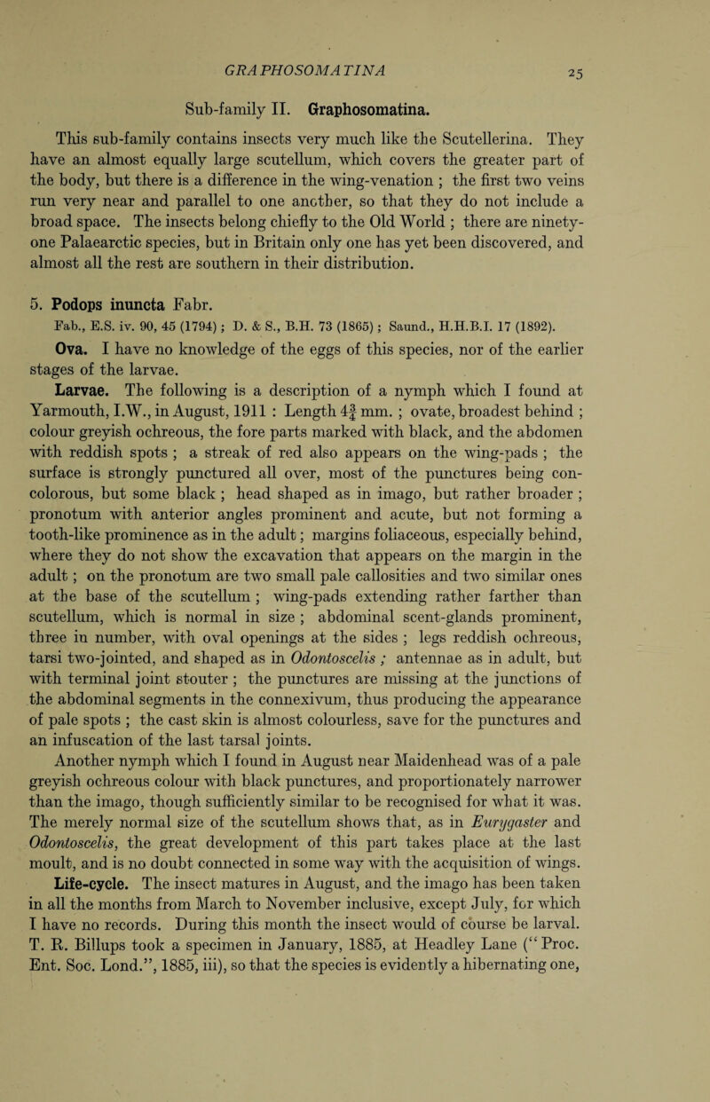 GRA PHOSOMA TINA Sub-family II. Graphosomatina. This sub-family contains insects very much like the Scutellerina. They have an almost equally large scutellum, which covers the greater part of the body, but there is a difference in the wing-venation ; the first two veins run very near and parallel to one another, so that they do not include a broad space. The insects belong chiefly to the Old World ; there are ninety- one Palaearctic species, but in Britain only one has yet been discovered, and almost all the rest are southern in their distribution. 5. Podops inuncta Fabr. Fab., E.S. iv. 90, 45 (1794); D. & S., B.H. 73 (1865) ; Saund., H.H.B.I. 17 (1892). Ova. I have no knowledge of the eggs of this species, nor of the earlier stages of the larvae. Larvae. The following is a description of a nymph which I found at Yarmouth, I.W., in August, 1911 : Length 4f mm. ; ovate, broadest behind ; colour greyish ochreous, the fore parts marked with black, and the abdomen with reddish spots ; a streak of red also appears on the wing-pads ; the surface is strongly punctured all over, most of the punctures being con- colorous, but some black ; head shaped as in imago, but rather broader ; pronotum with anterior angles prominent and acute, but not forming a tooth-like prominence as in the adult; margins foliaceous, especially behind, where they do not show the excavation that appears on the margin in the adult ; on the pronotum are two small pale callosities and two similar ones at the base of the scutellum ; wing-pads extending rather farther than scutellum, which is normal in size ; abdominal scent-glands prominent, three in number, with oval openings at the sides ; legs reddish ochreous, tarsi two-jointed, and shaped as in Odontoscelis ; antennae as in adult, but with terminal joint stouter ; the punctures are missing at the junctions of the abdominal segments in the connexivum, thus producing the appearance of pale spots ; the cast skin is almost colourless, save for the punctures and an infuscation of the last tarsal joints. Another nymph which I found in August near Maidenhead was of a pale greyish ochreous colour with black punctures, and proportionately narrower than the imago, though sufficiently similar to be recognised for what it was. The merely normal size of the scutellum shows that, as in Eurygaster and Odontoscelis, the great development of this part takes place at the last moult, and is no doubt connected in some way with the acquisition of wings. Life-cycle. The insect matures in August, and the imago has been taken in all the months from March to November inclusive, except July, for which I have no records. During this month the insect would of course be larval. T. R. Billups took a specimen in January, 1885, at Headley Lane (“Proc. Ent. Soc. Lond.”, 1885, iii), so that the species is evidently a hibernating one,
